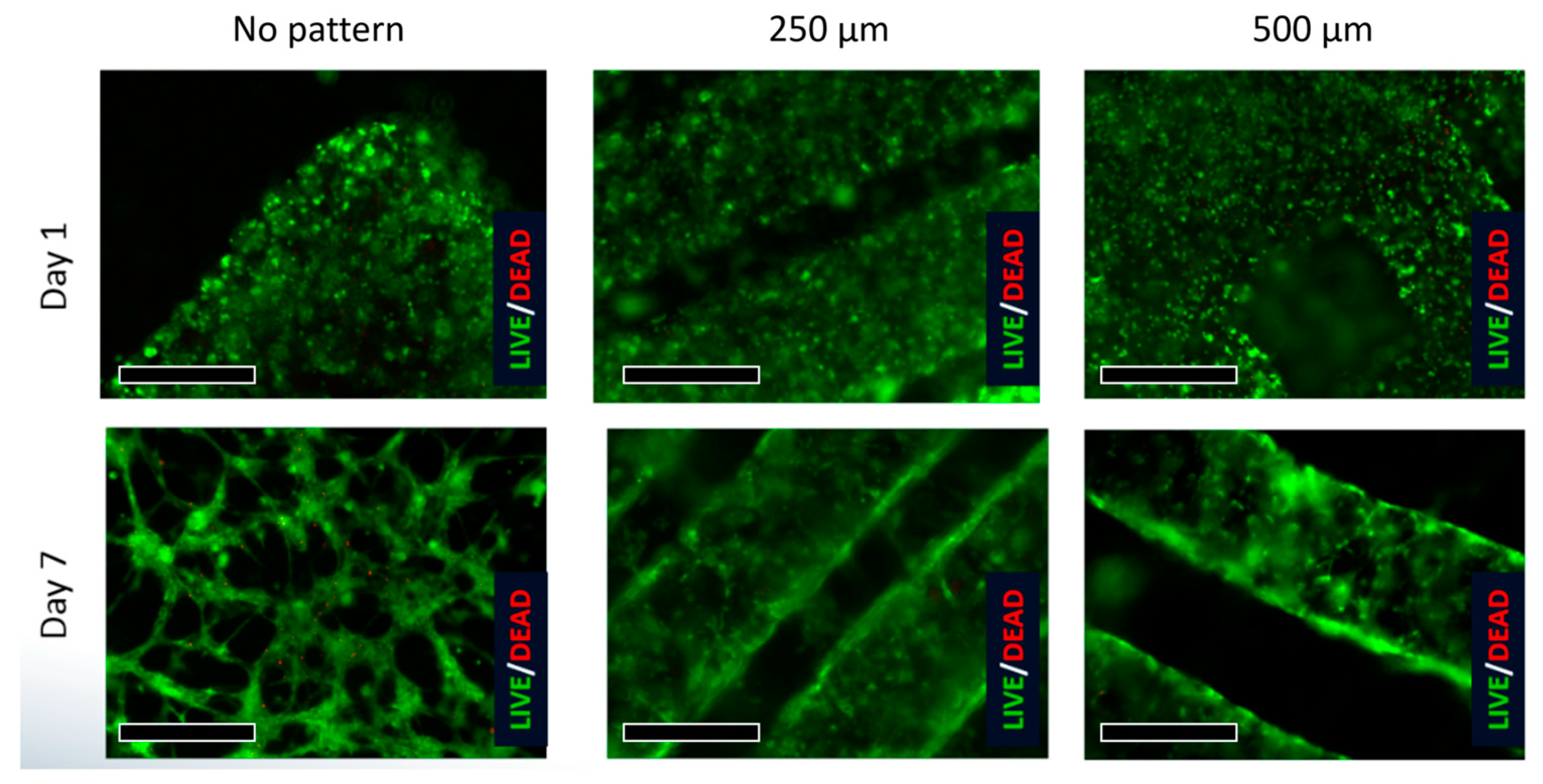Bioengineering 10 01092 g009