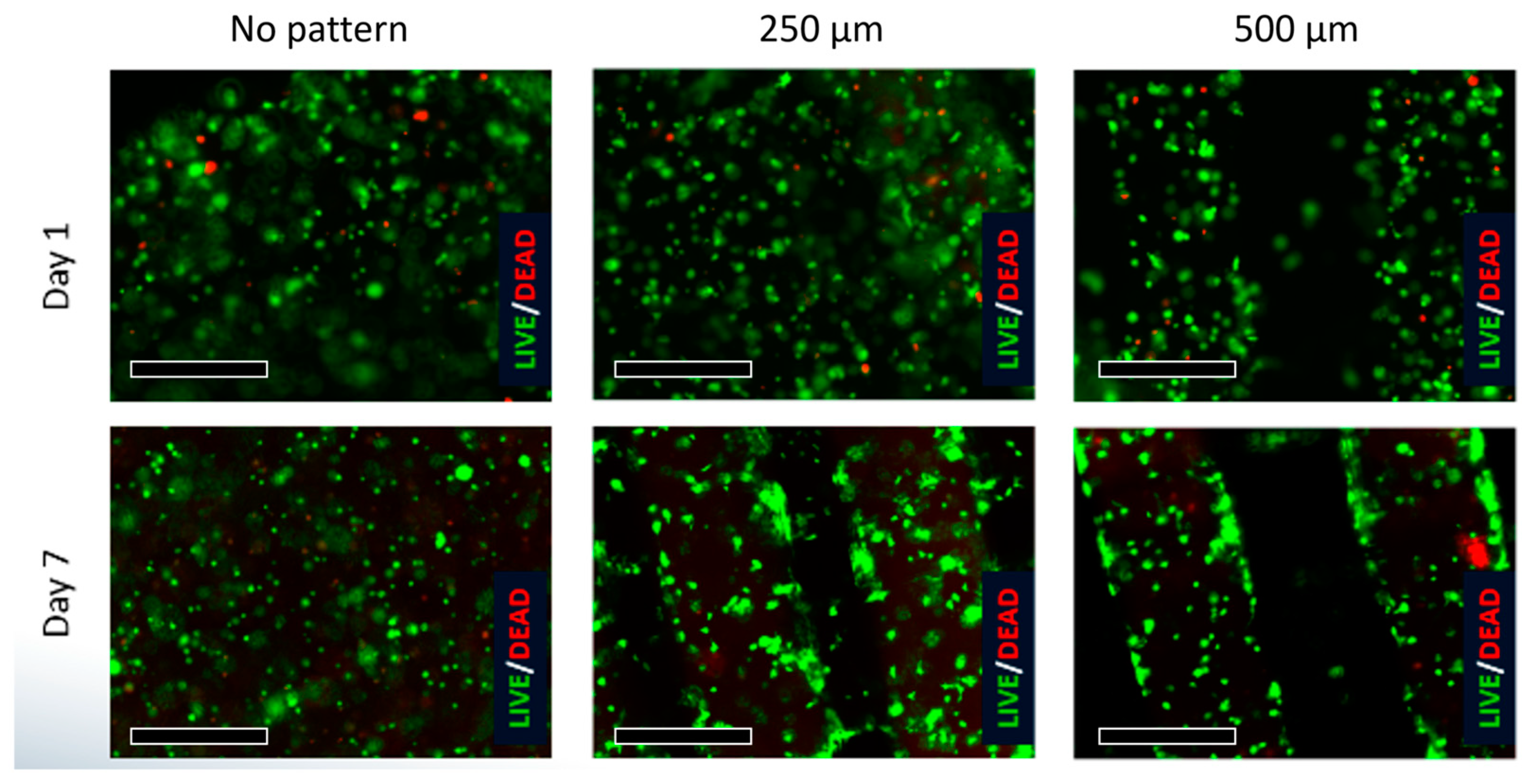 Bioengineering 10 01092 g012