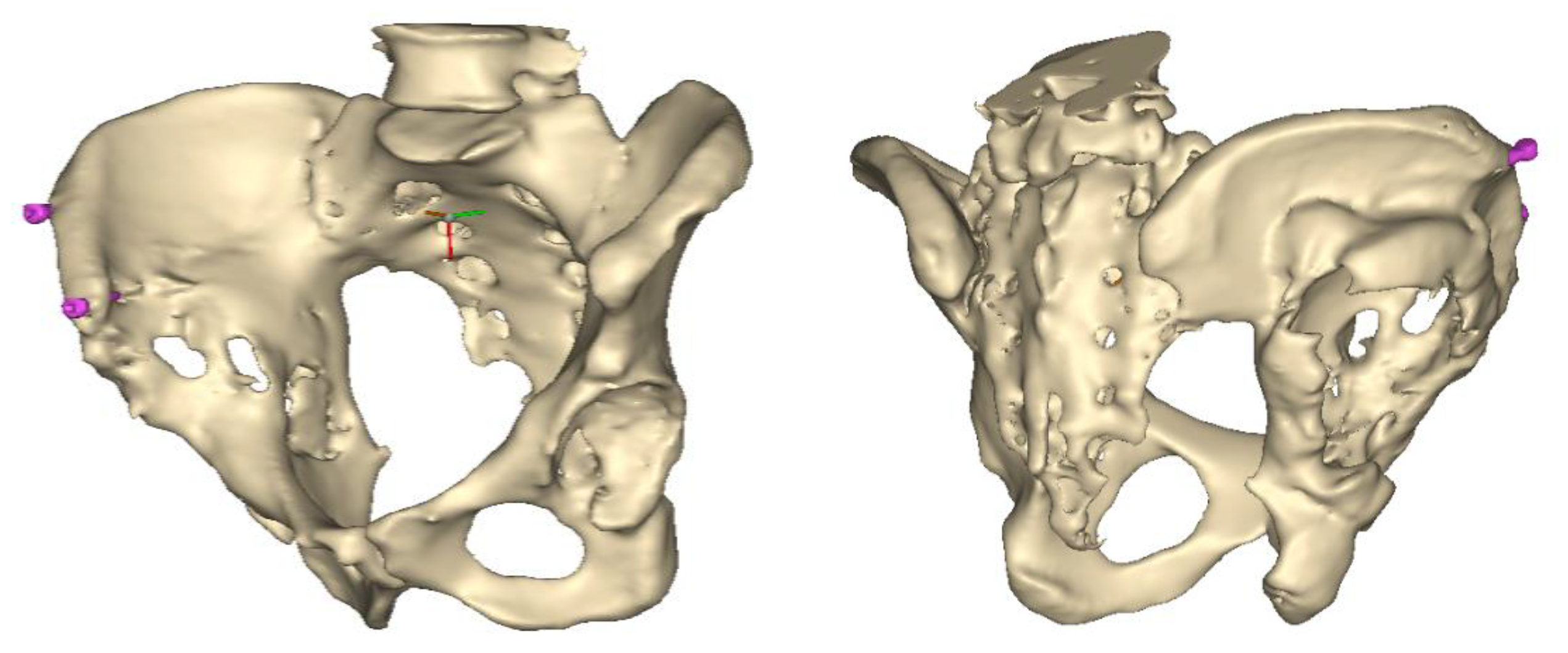 Bioengineering 10 01095 g001