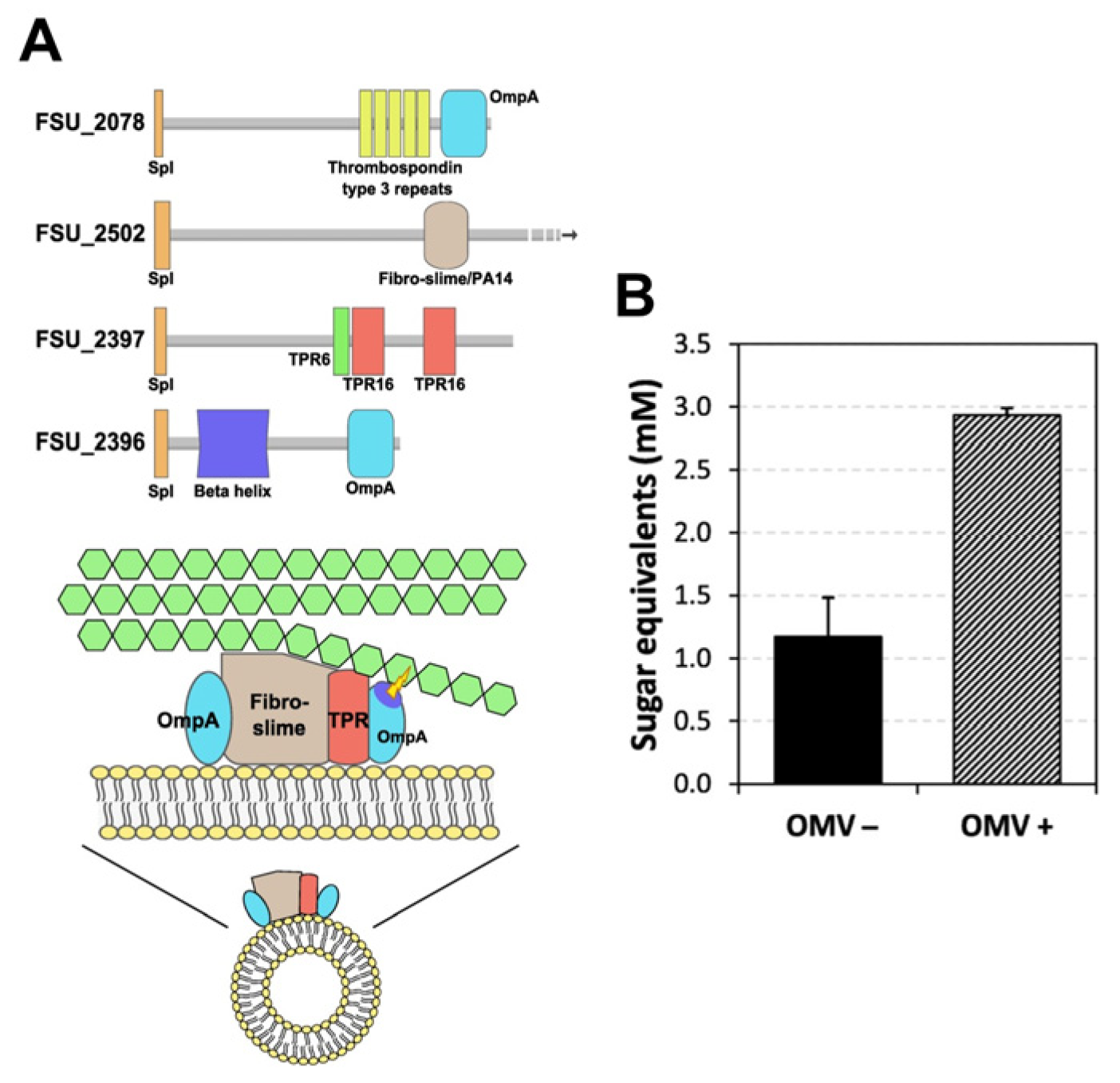 Bioengineering 10 01099 g002