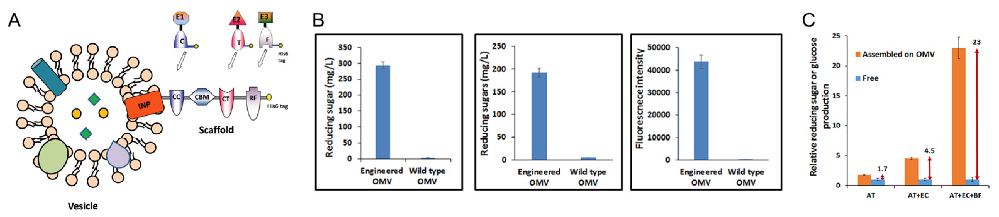 Bioengineering 10 01099 g004