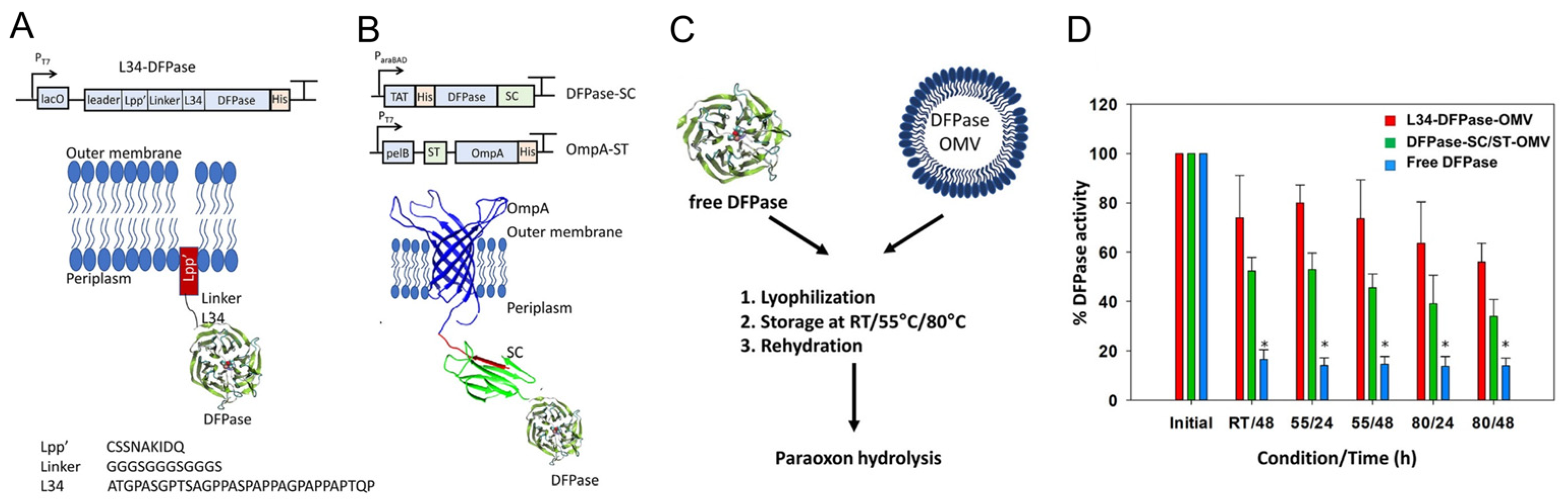 Bioengineering 10 01099 g006