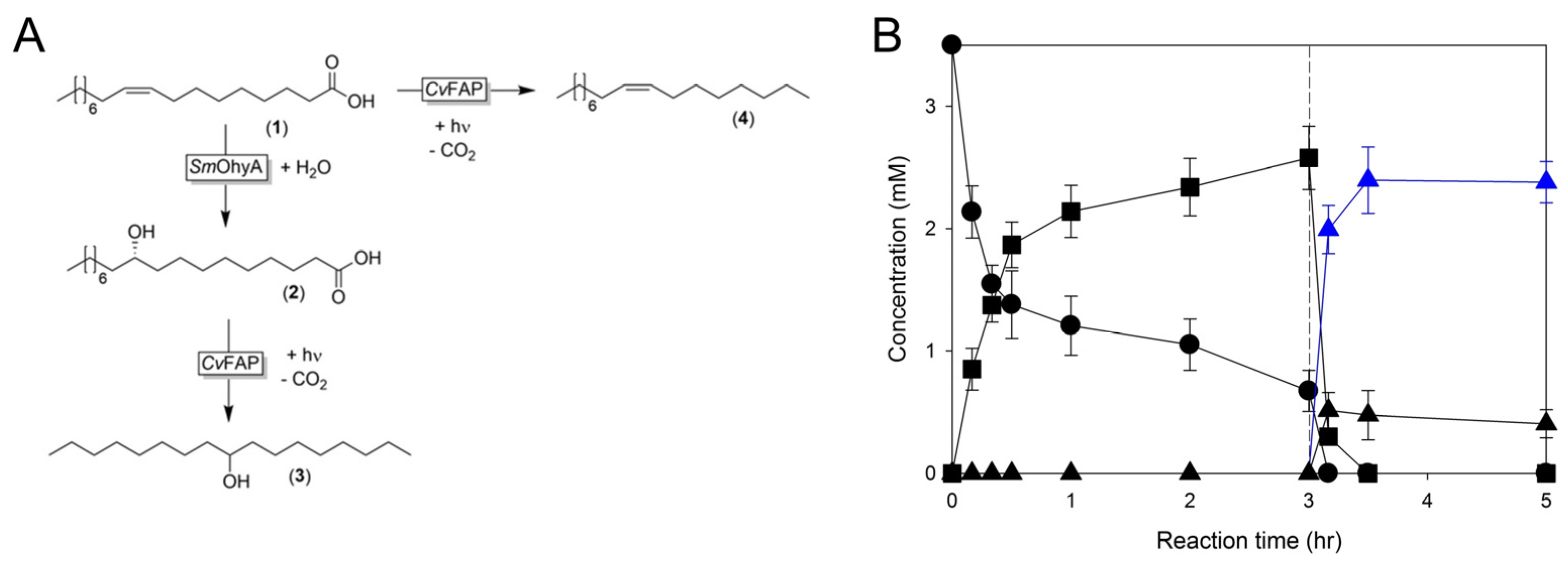 Bioengineering 10 01099 g009