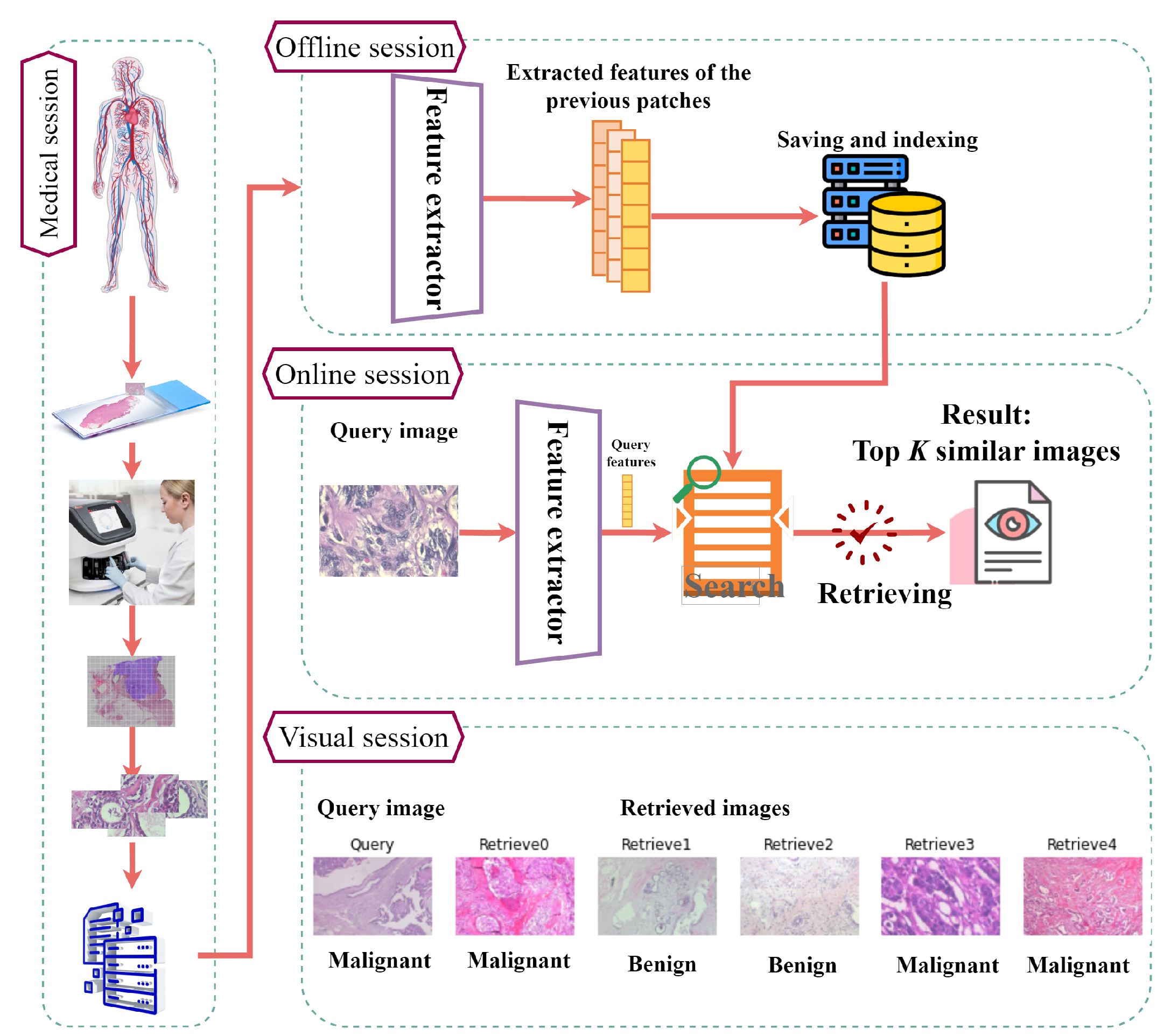 Bioengineering 10 01144 g002