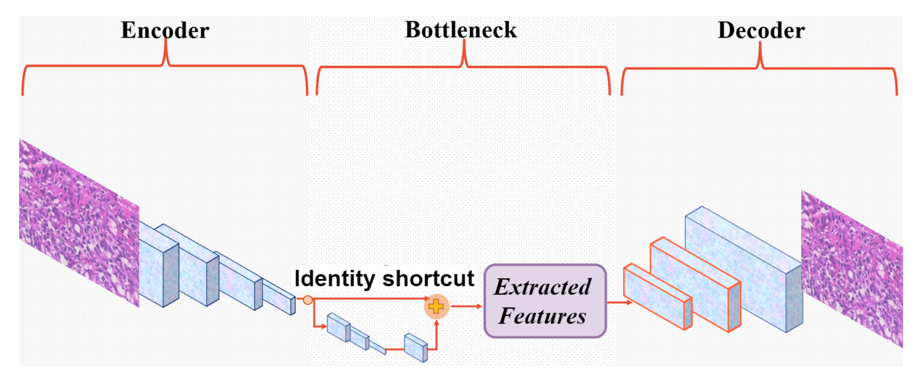 Bioengineering 10 01144 g003