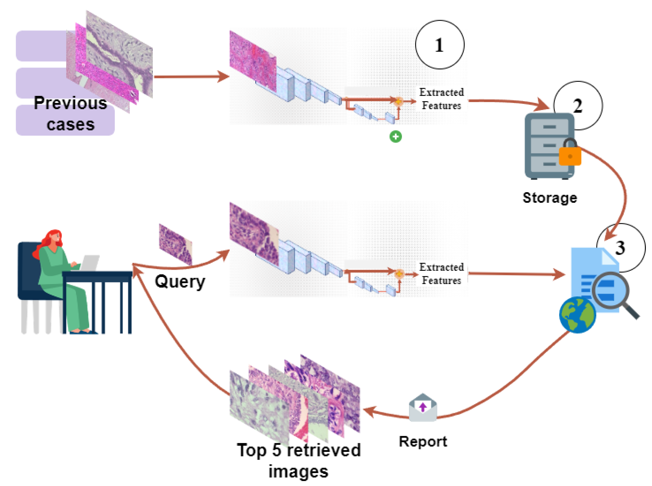Bioengineering 10 01144 g004