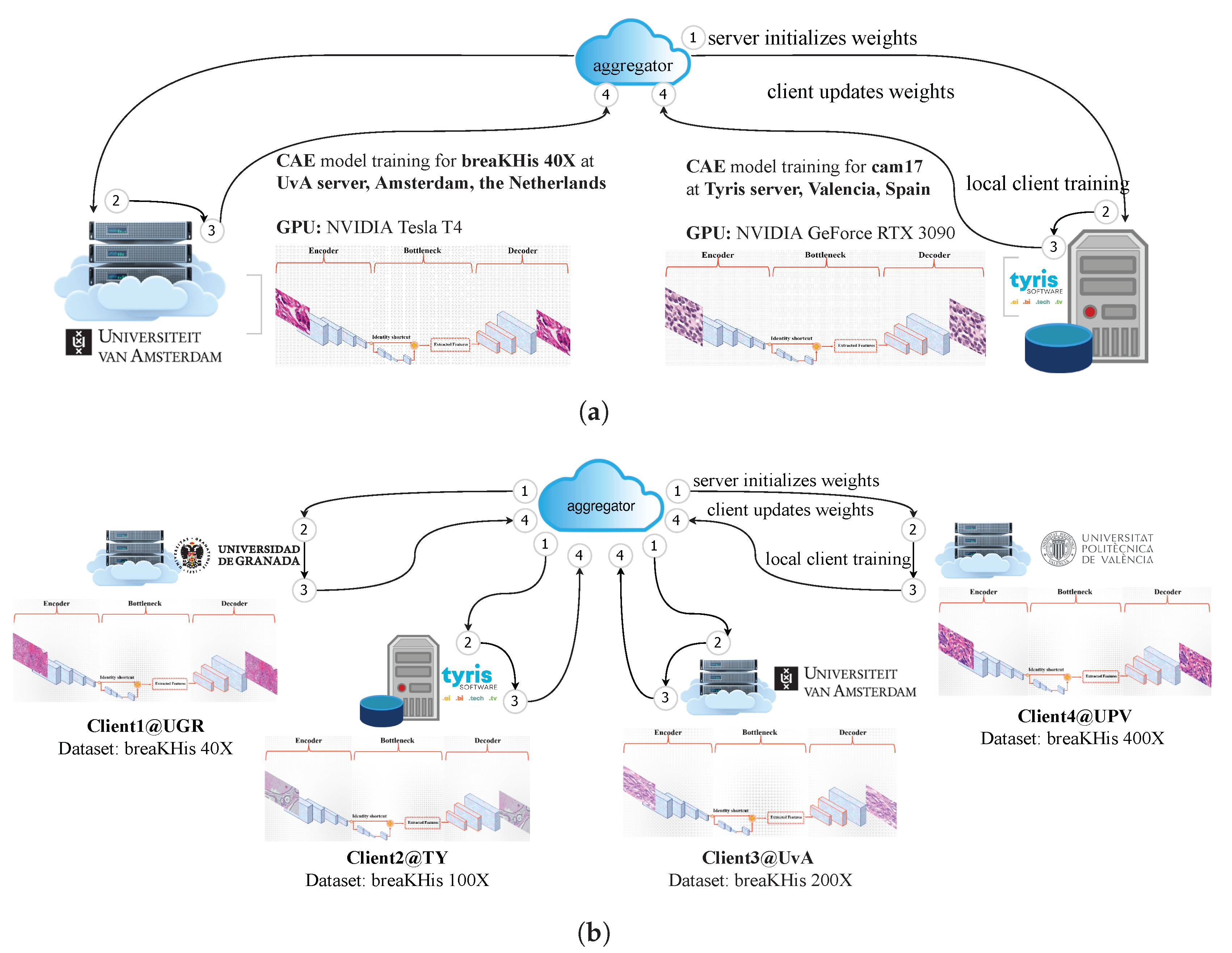 Bioengineering 10 01144 g005