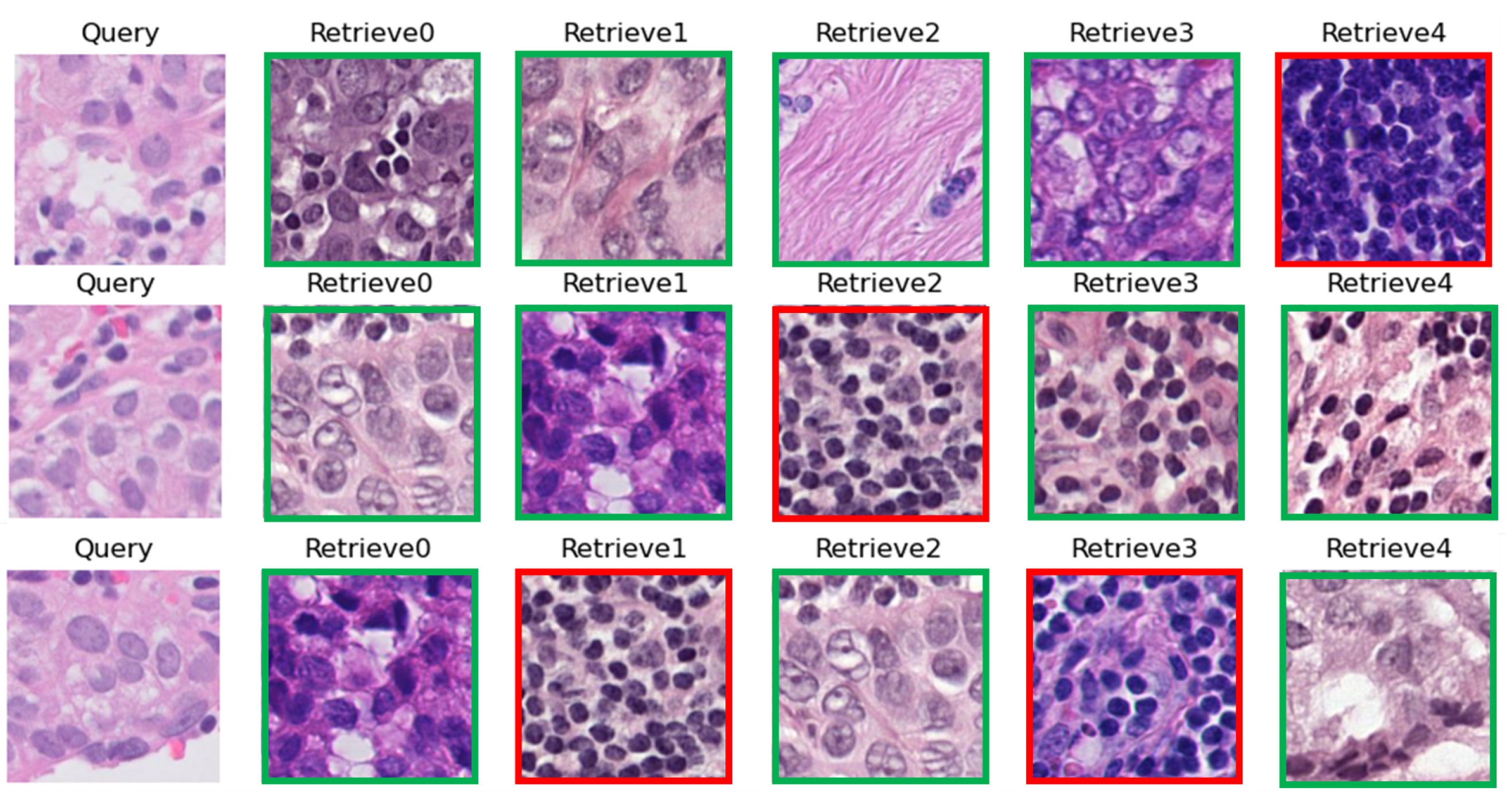 Bioengineering 10 01144 g006