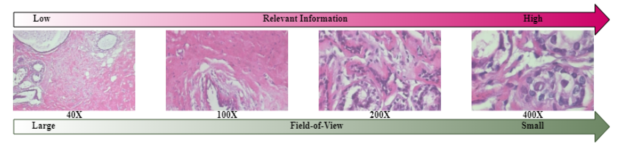 Bioengineering 10 01144 g009