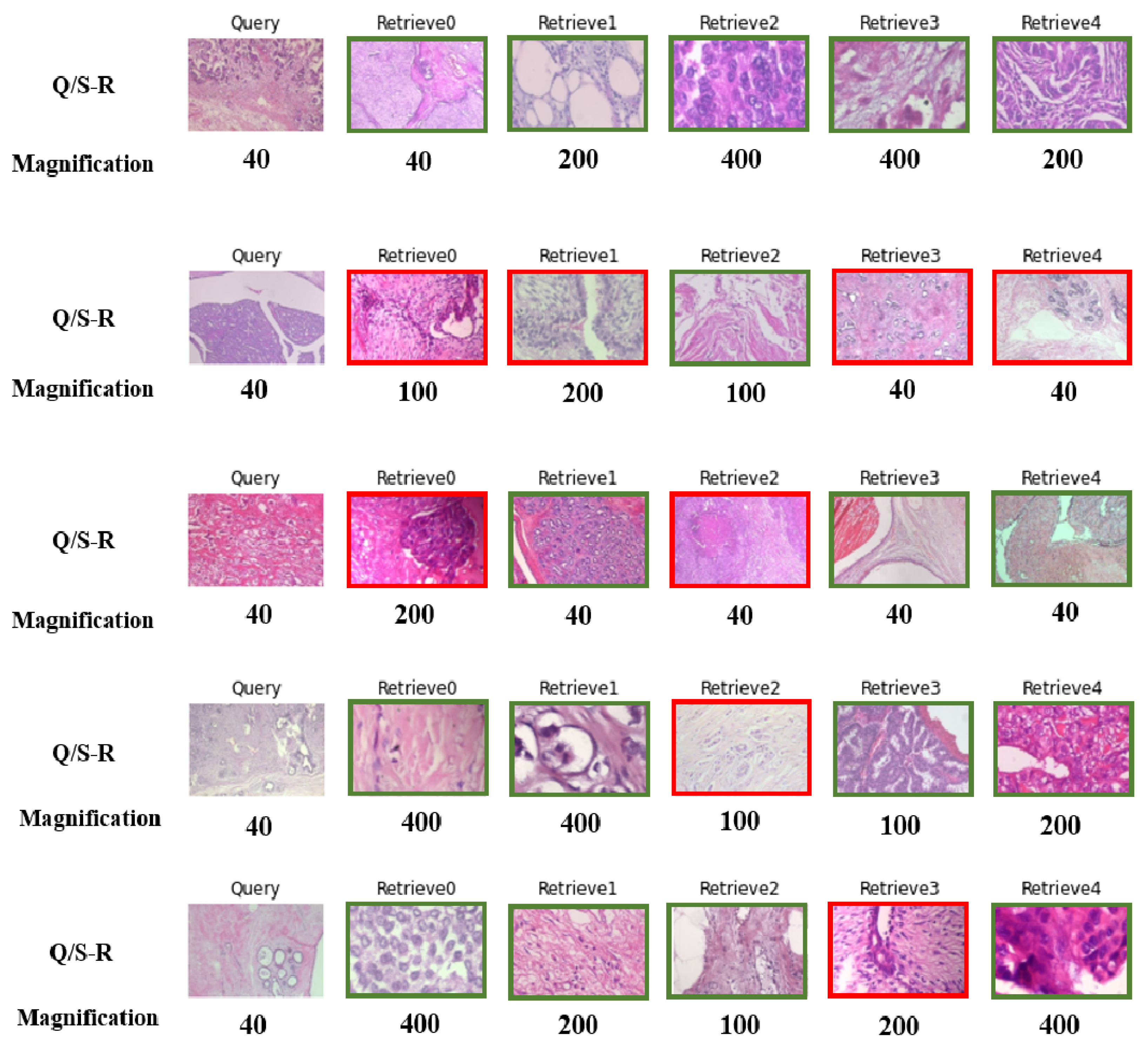 Bioengineering 10 01144 g011
