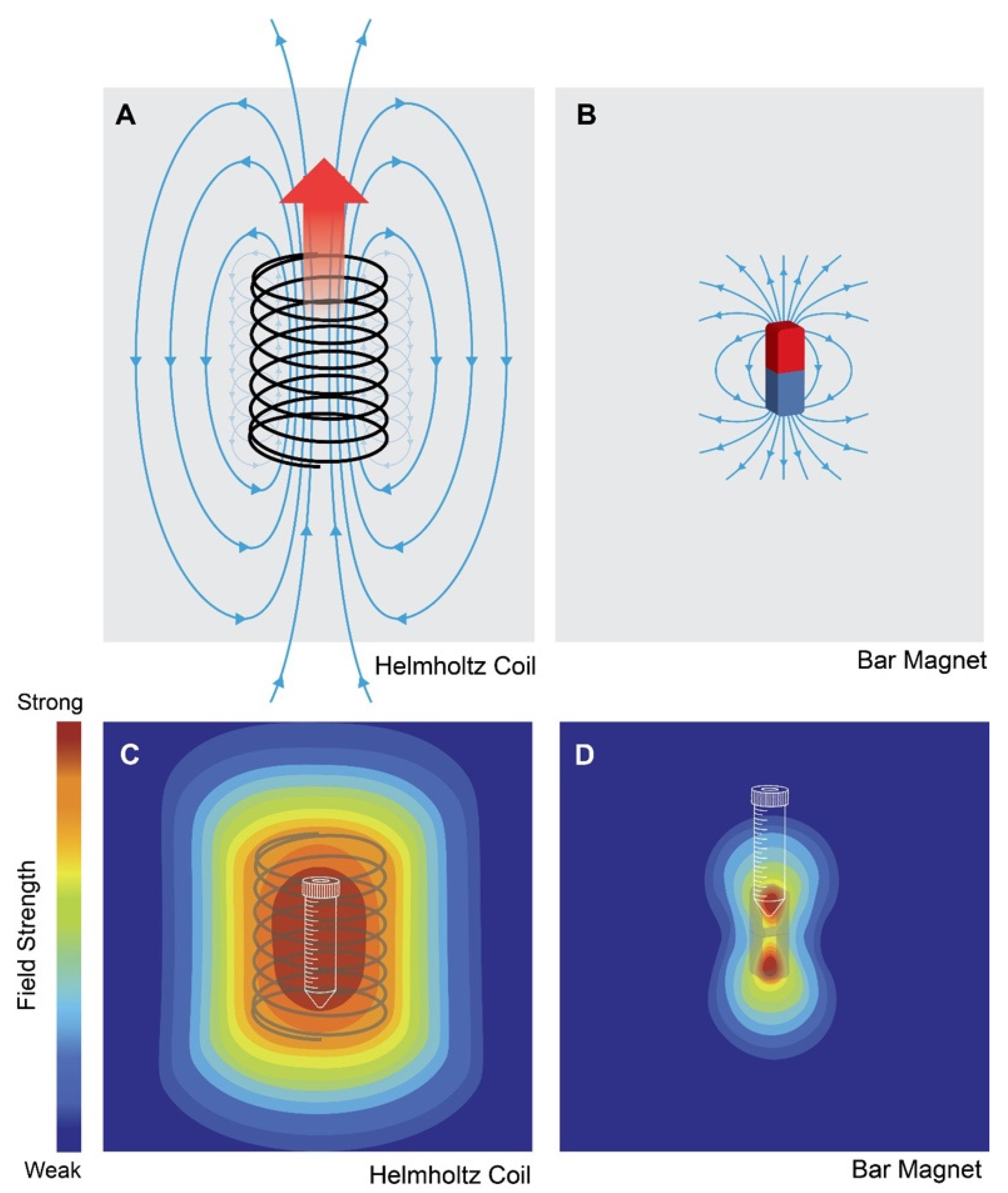 Bioengineering 10 01176 g004 Bioengineering 10 01176 g004