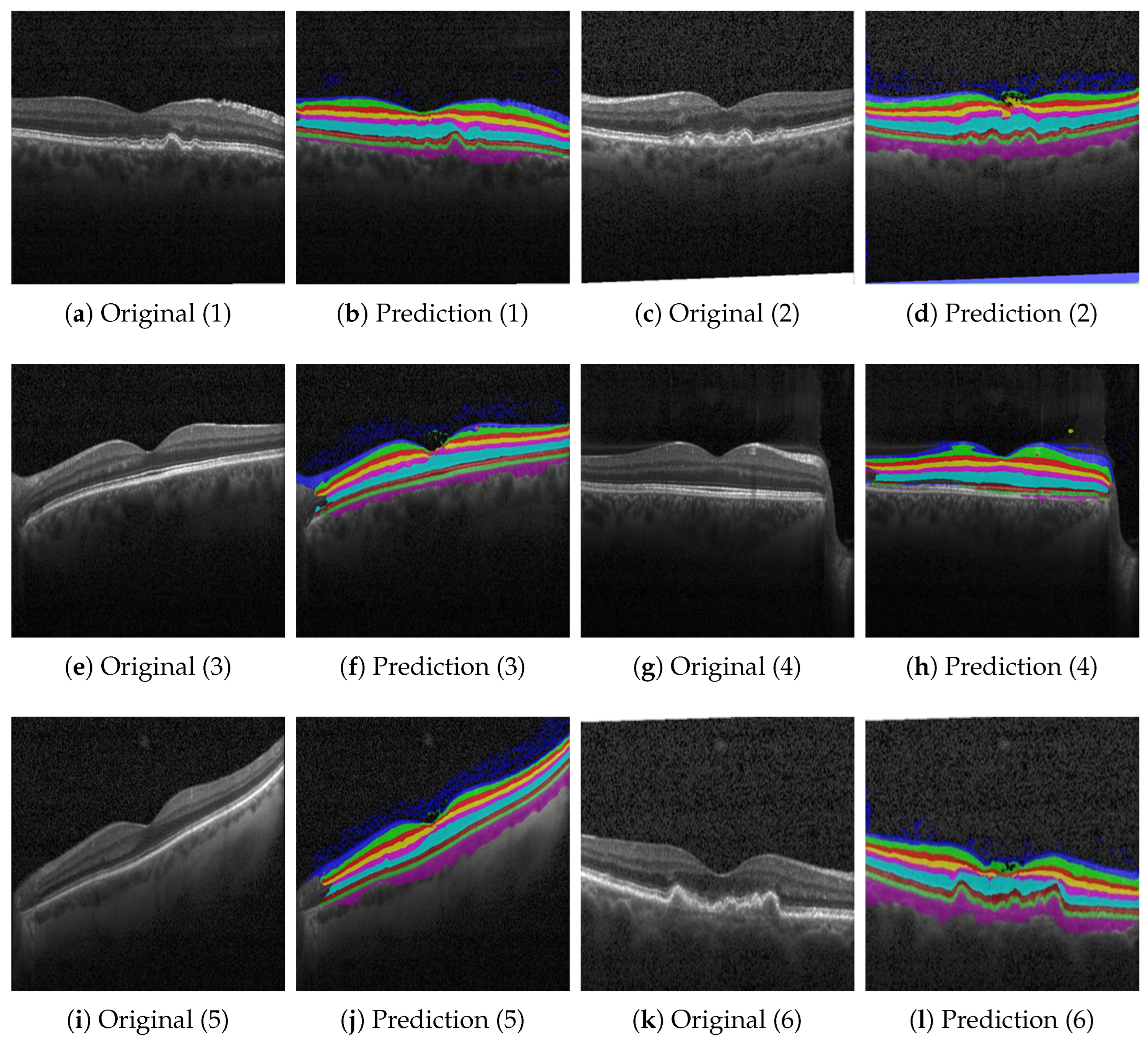Bioengineering 10 01177 g006