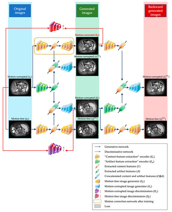Bioengineering 10 01192 g001