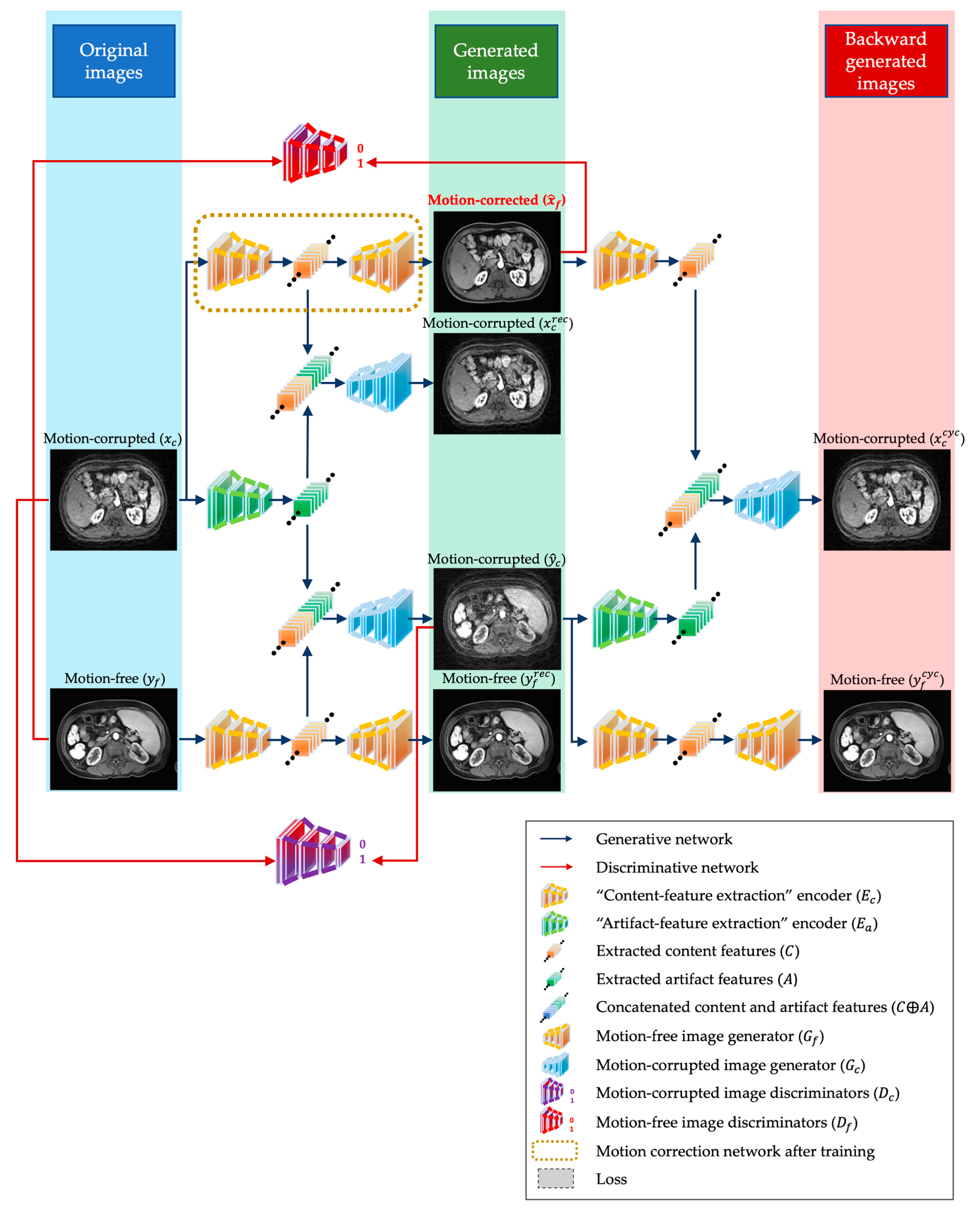 Bioengineering 10 01192 g001
