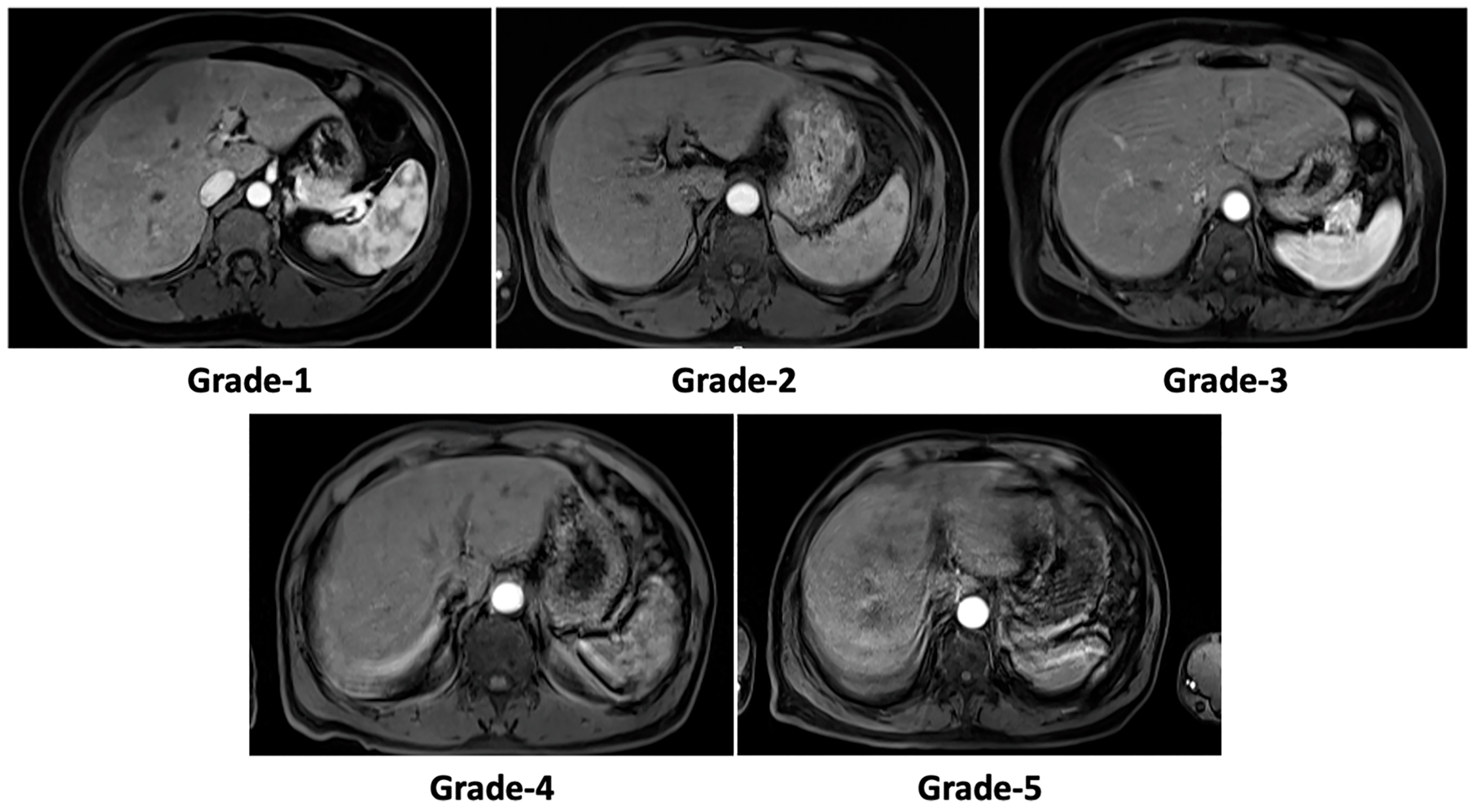 Bioengineering 10 01192 g003