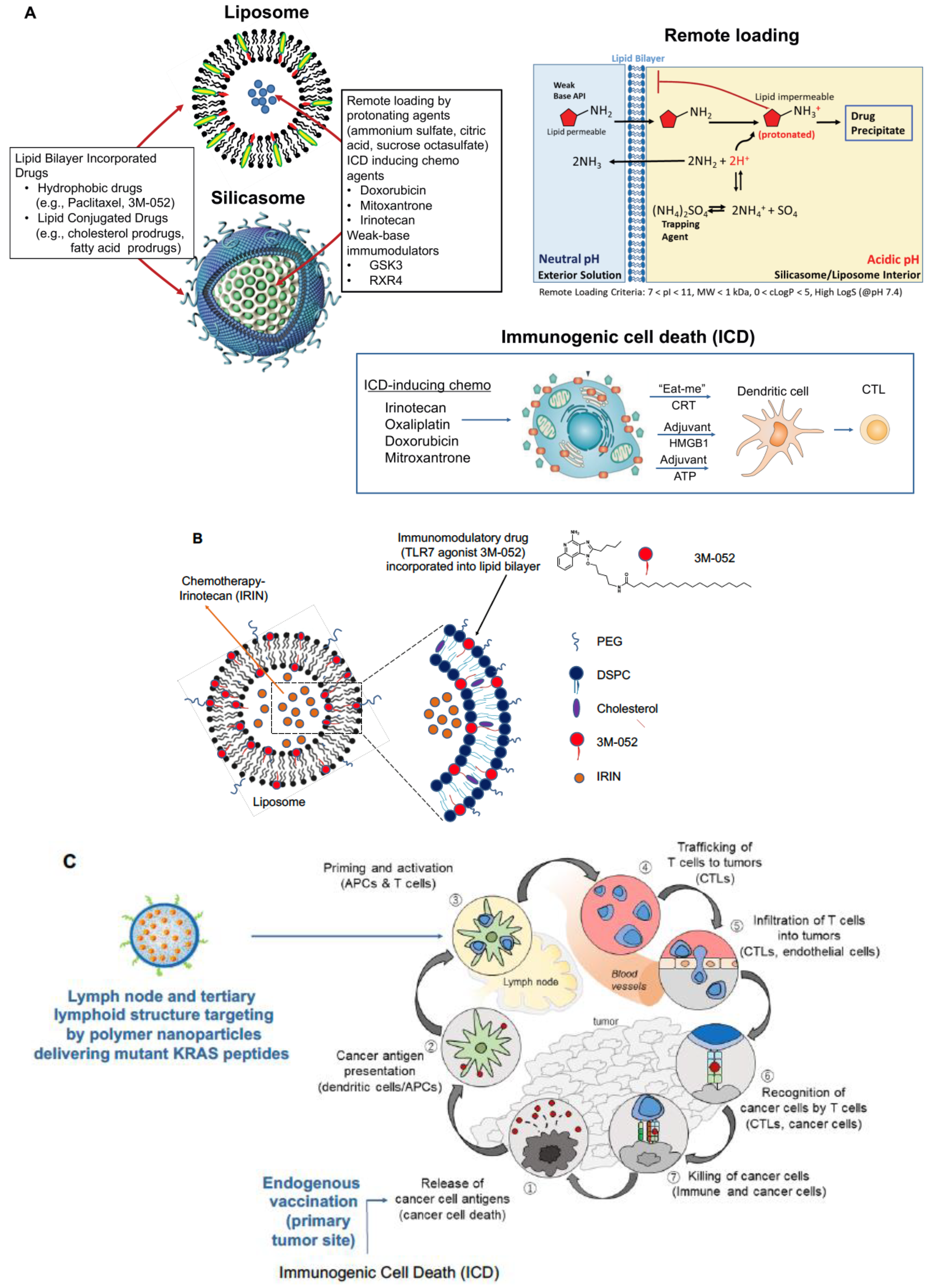 Bioengineering 10 01205 g001