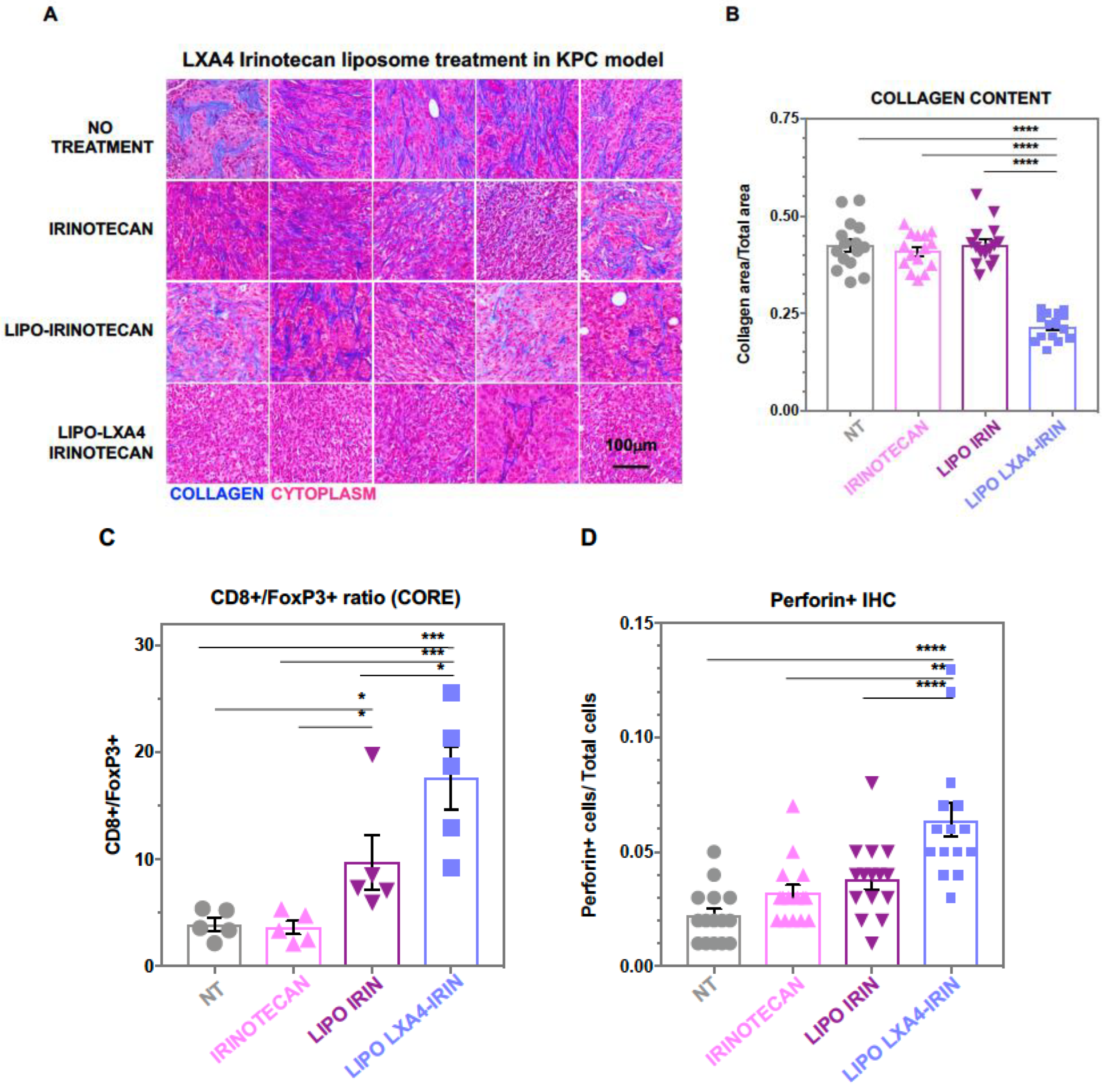 Bioengineering 10 01205 g003