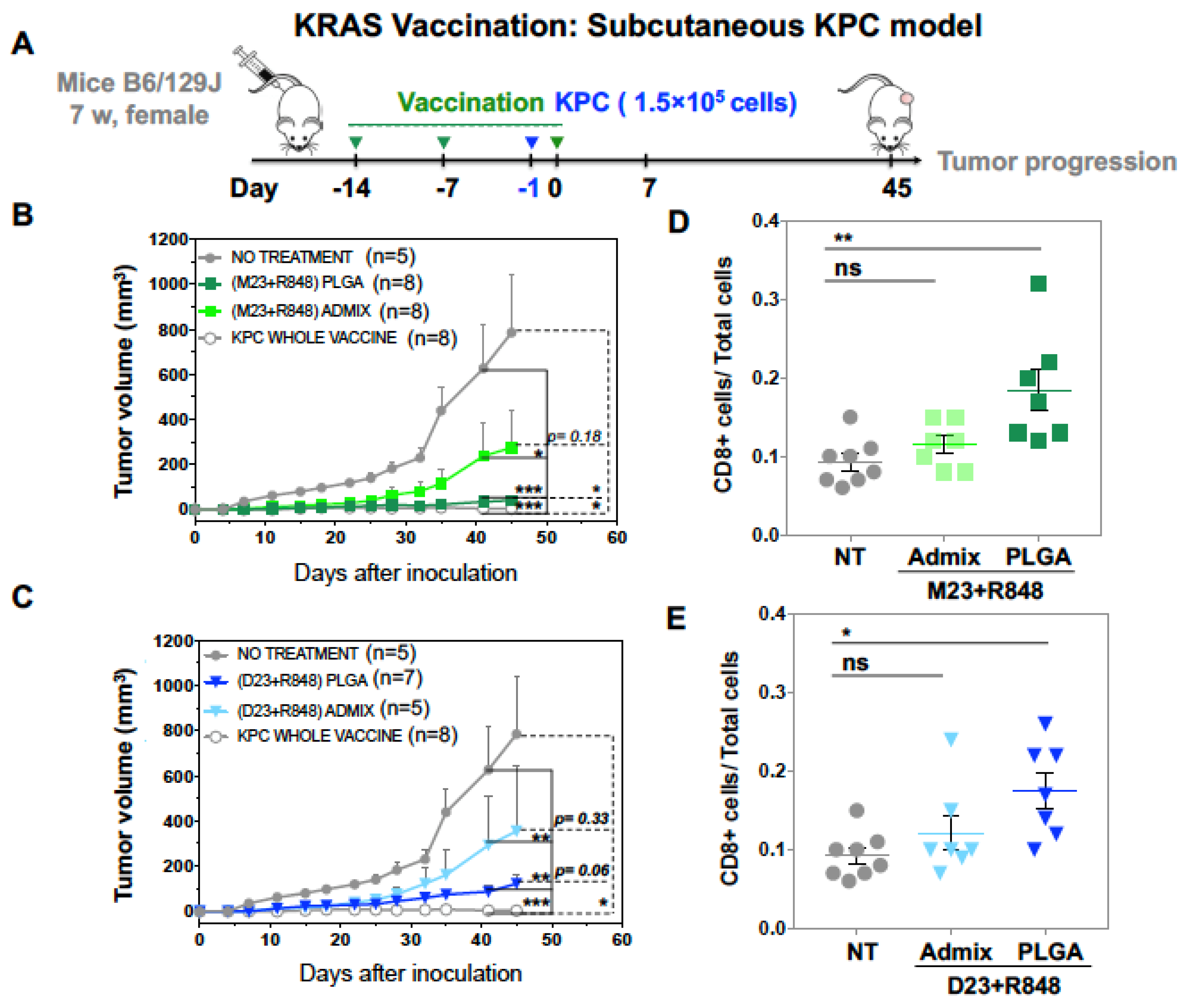 Bioengineering 10 01205 g006a