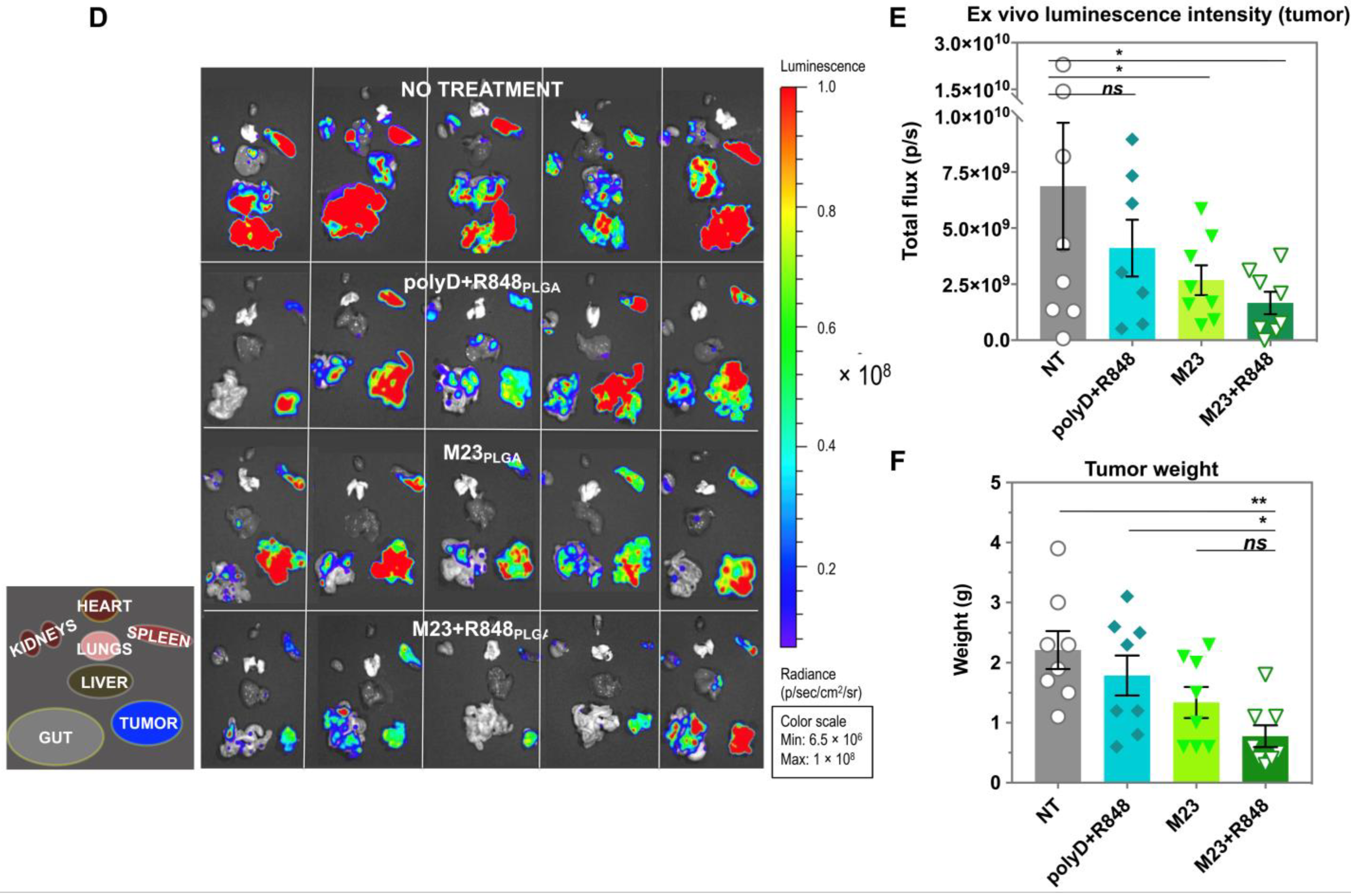 Bioengineering 10 01205 g007b