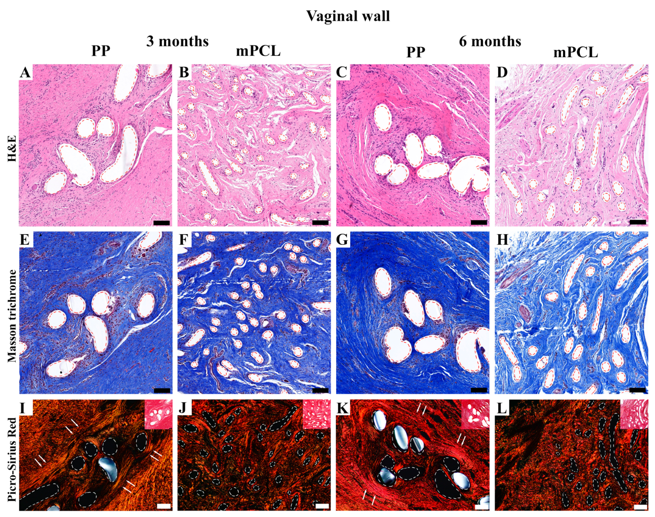 Bioengineering 10 01242 g003