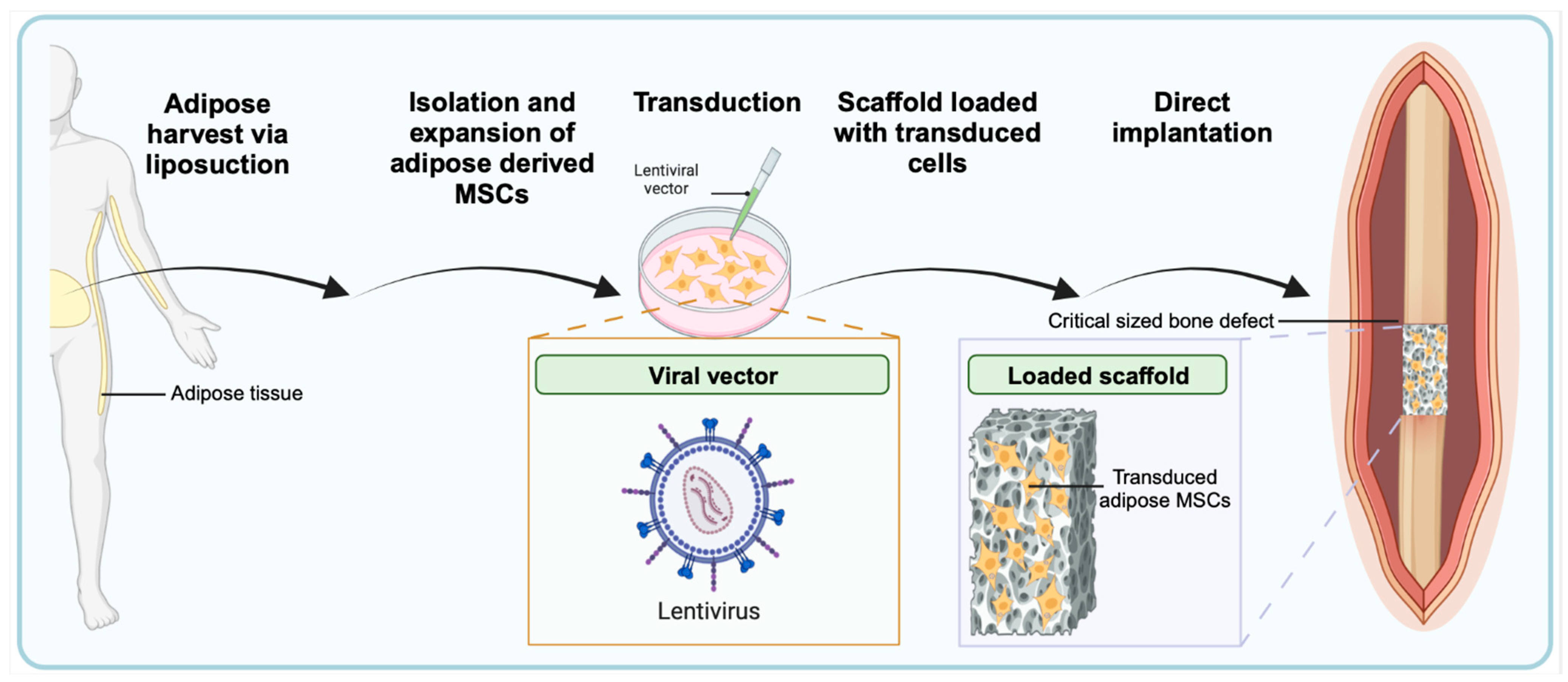 Bioengineering 10 01252 g006