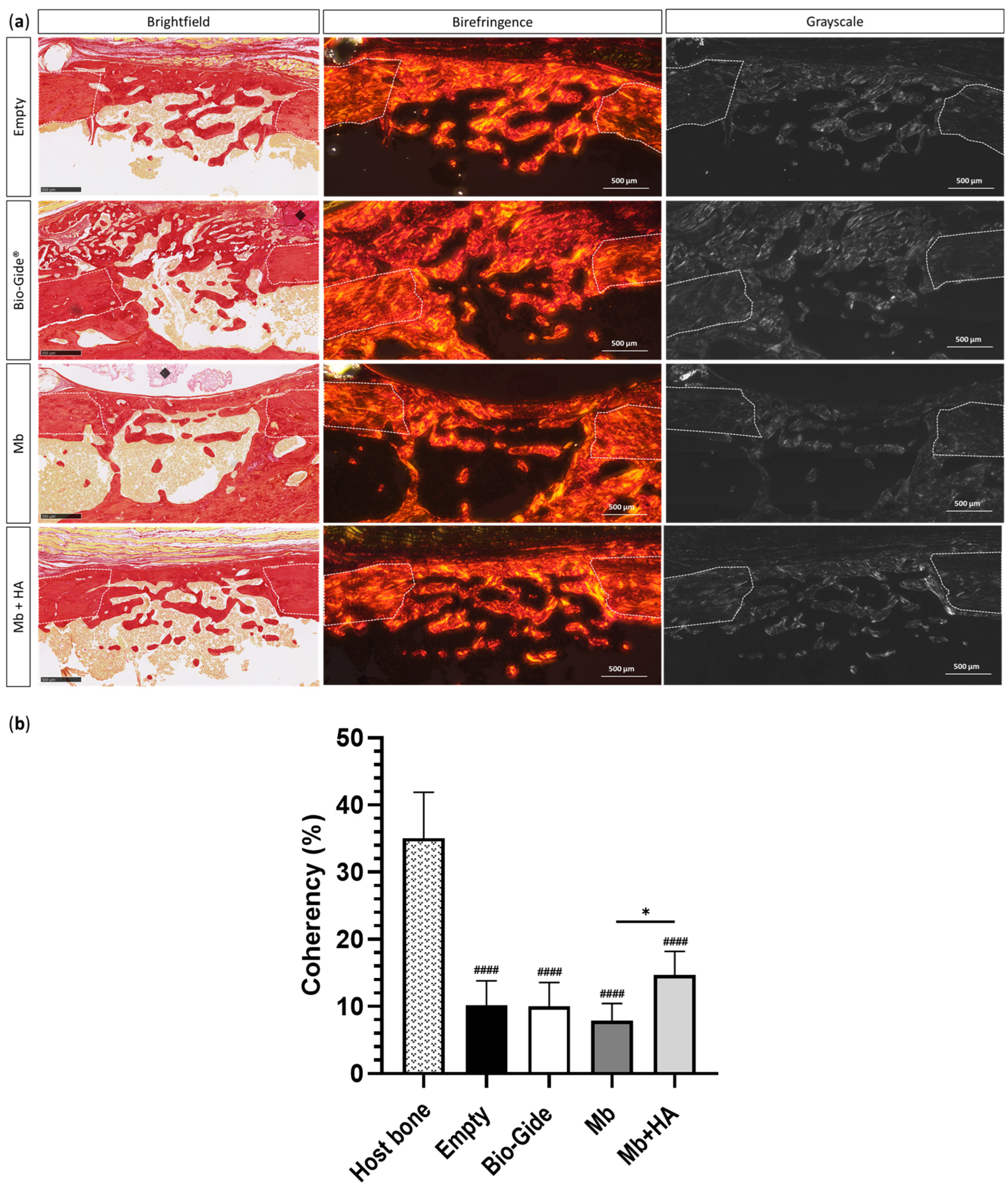 Bioengineering 10 01257 g006