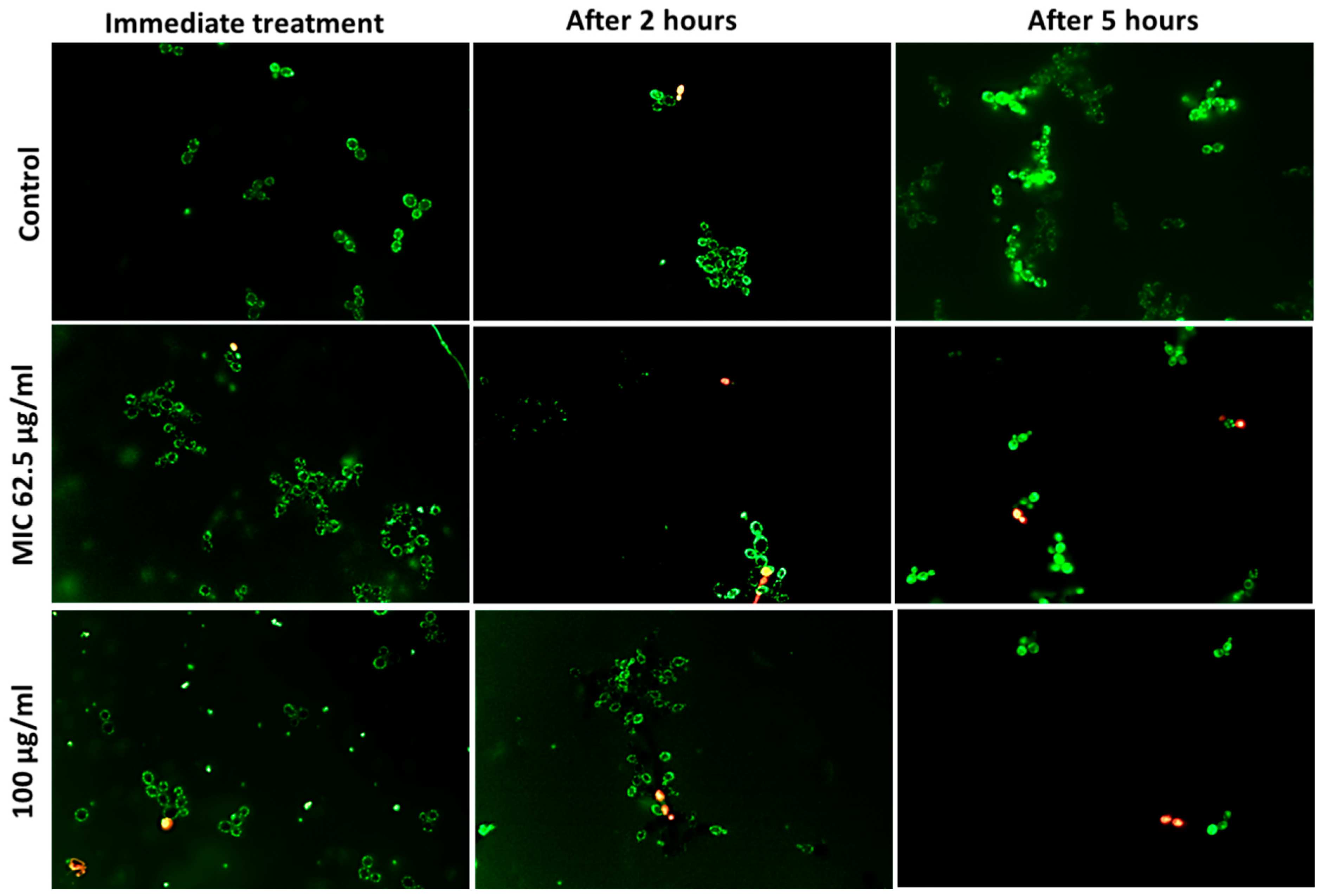 Bioengineering 10 01259 g003