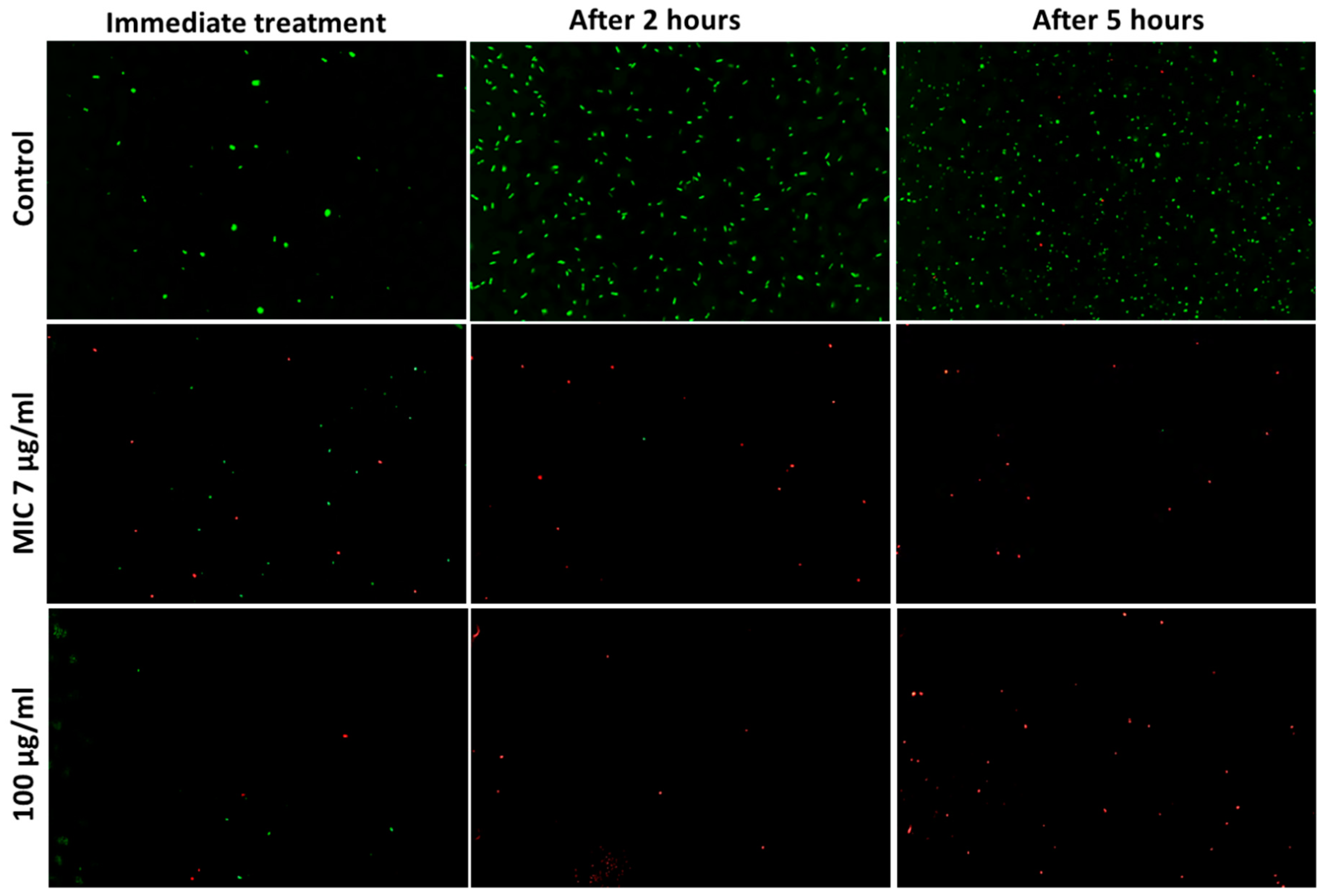 Bioengineering 10 01259 g004