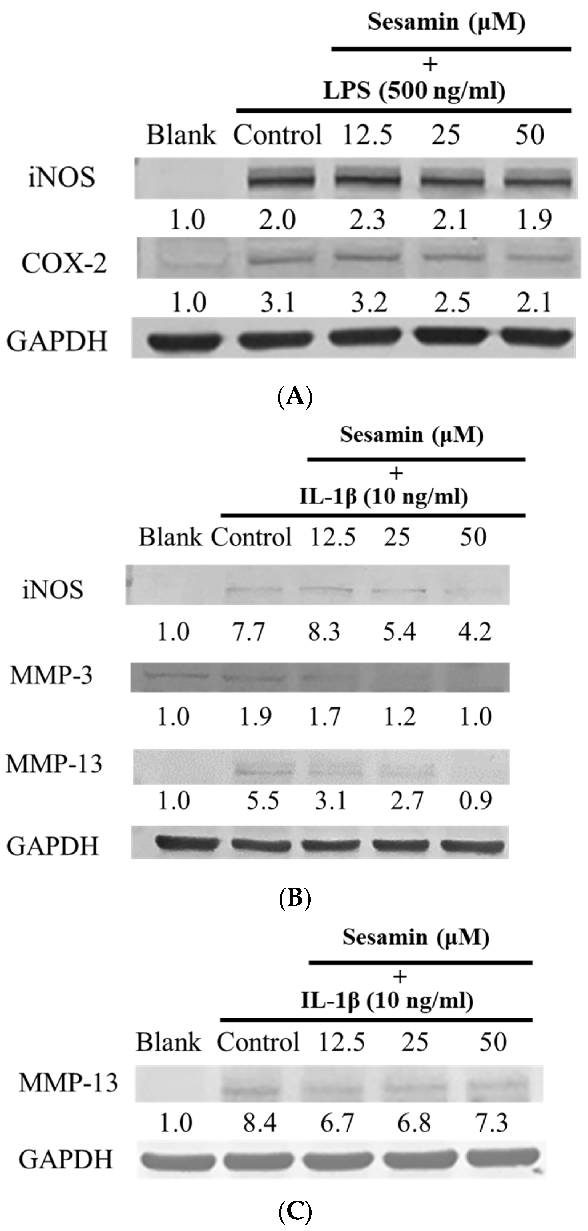 Bioengineering 10 01263 g004