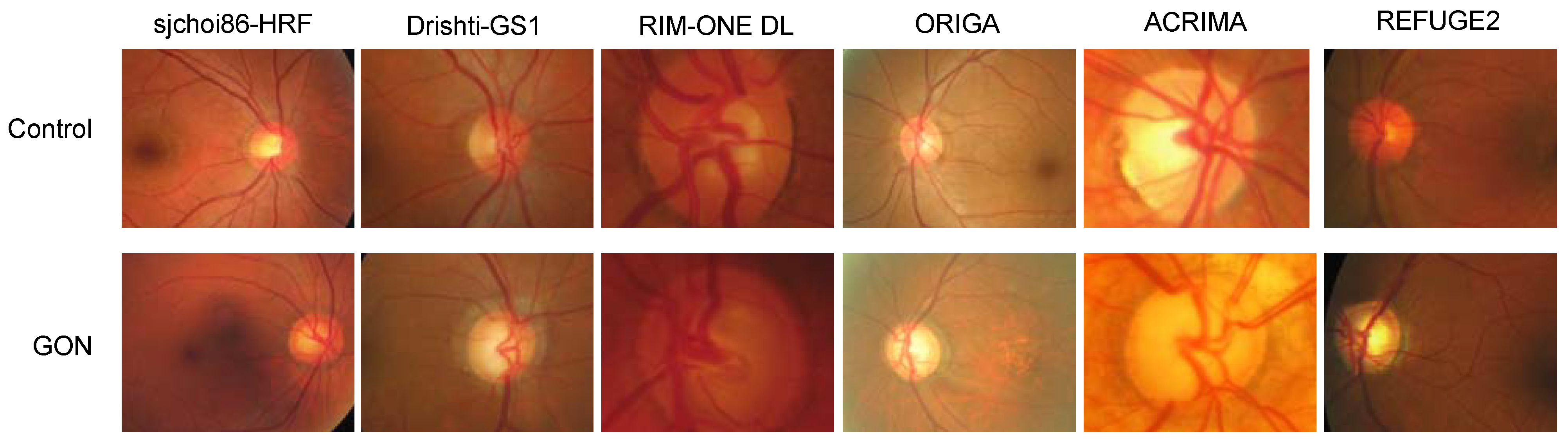 Bioengineering 10 01266 g001