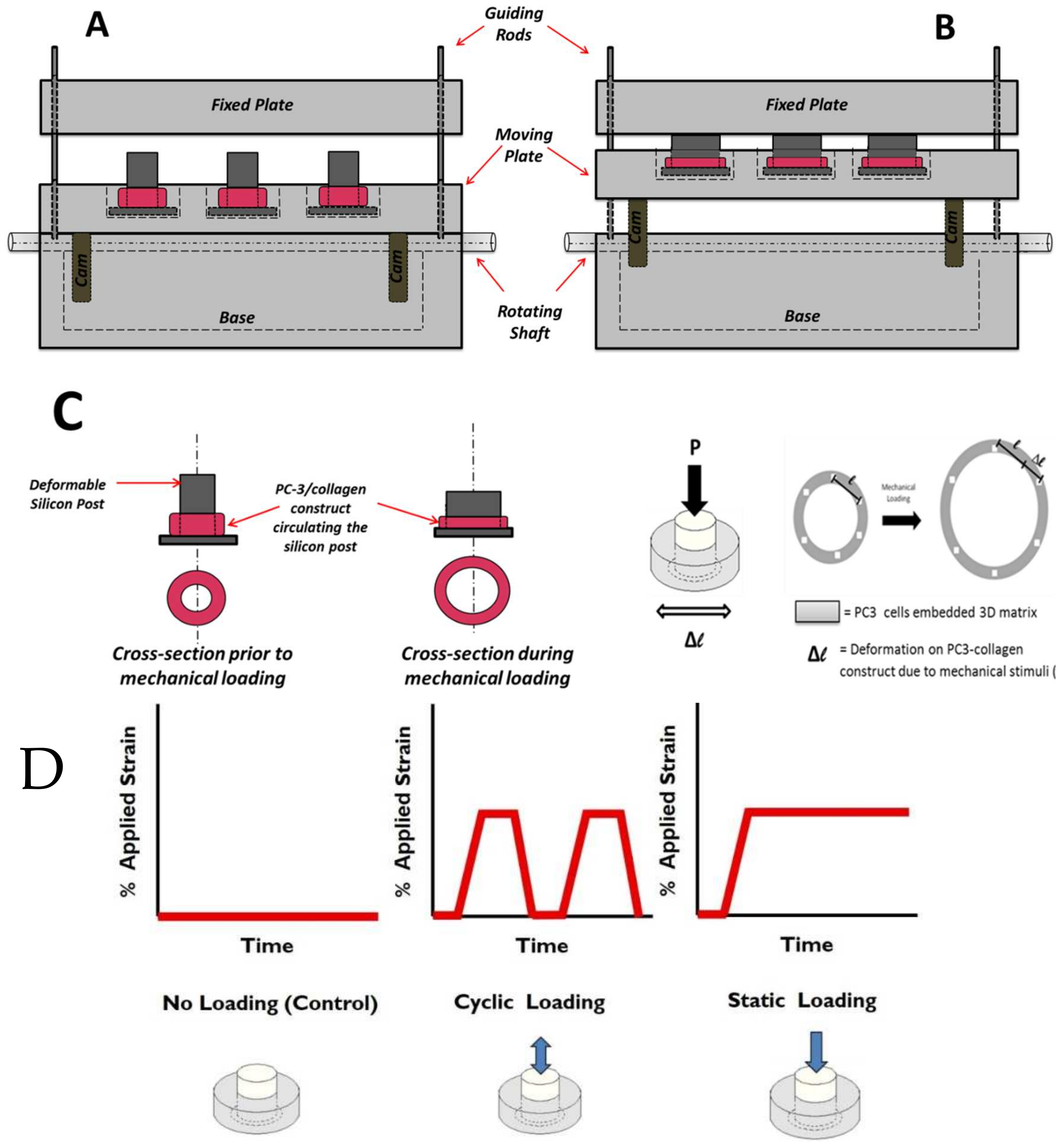 Bioengineering 10 01271 g002