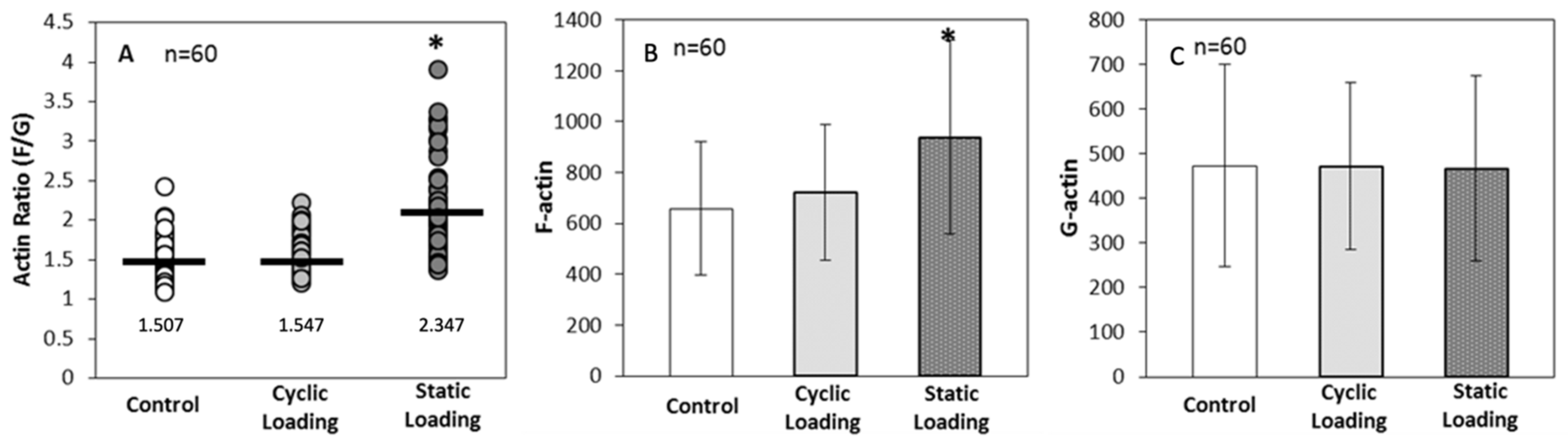 Bioengineering 10 01271 g007