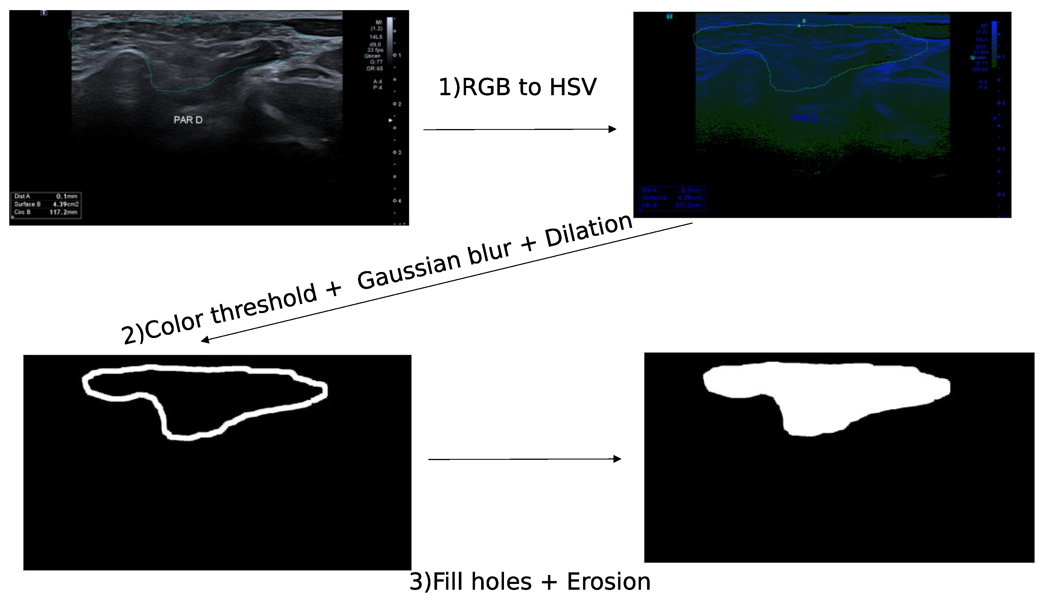 Bioengineering 10 01283 g001