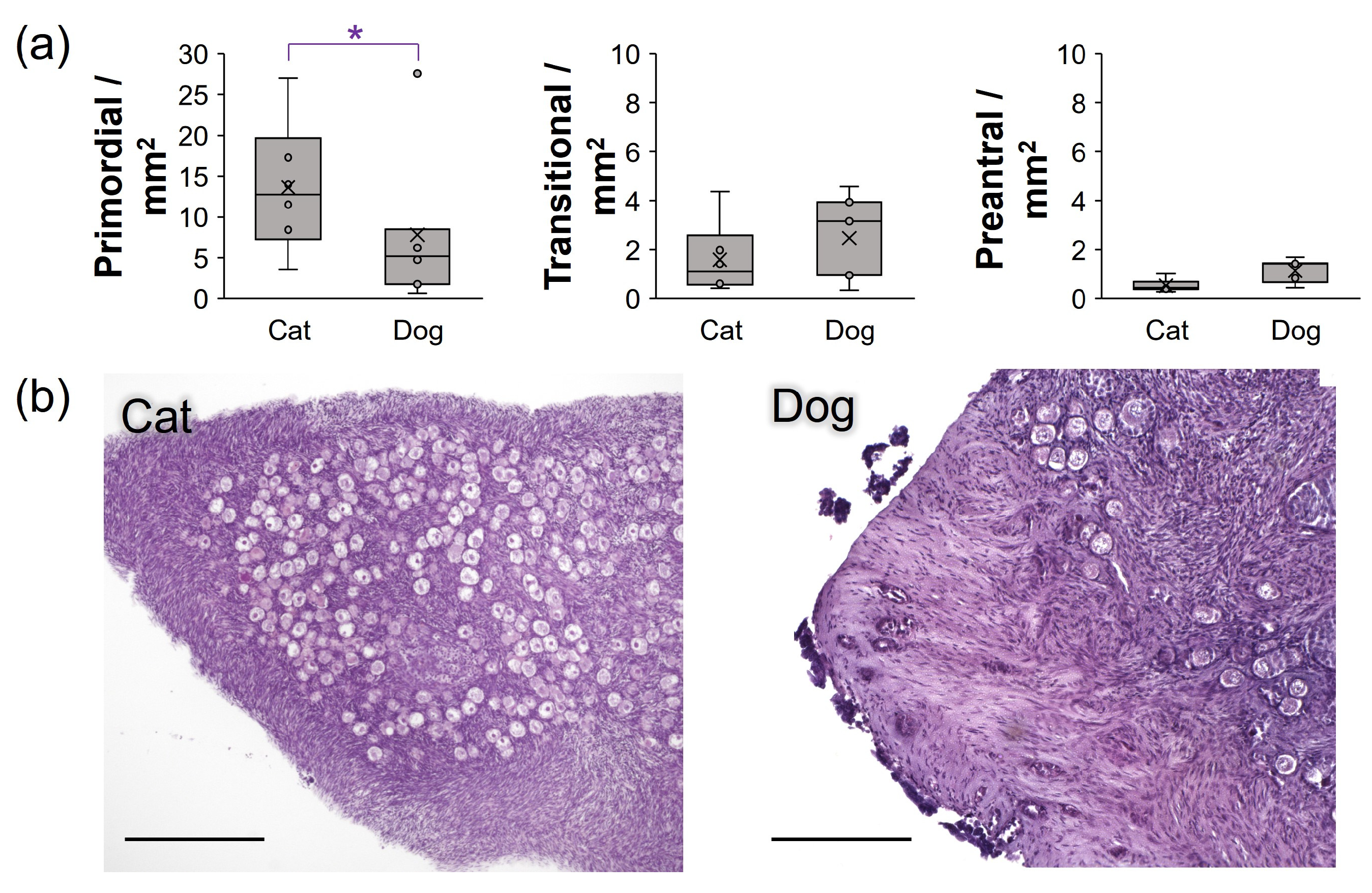 Bioengineering 10 01285 g003