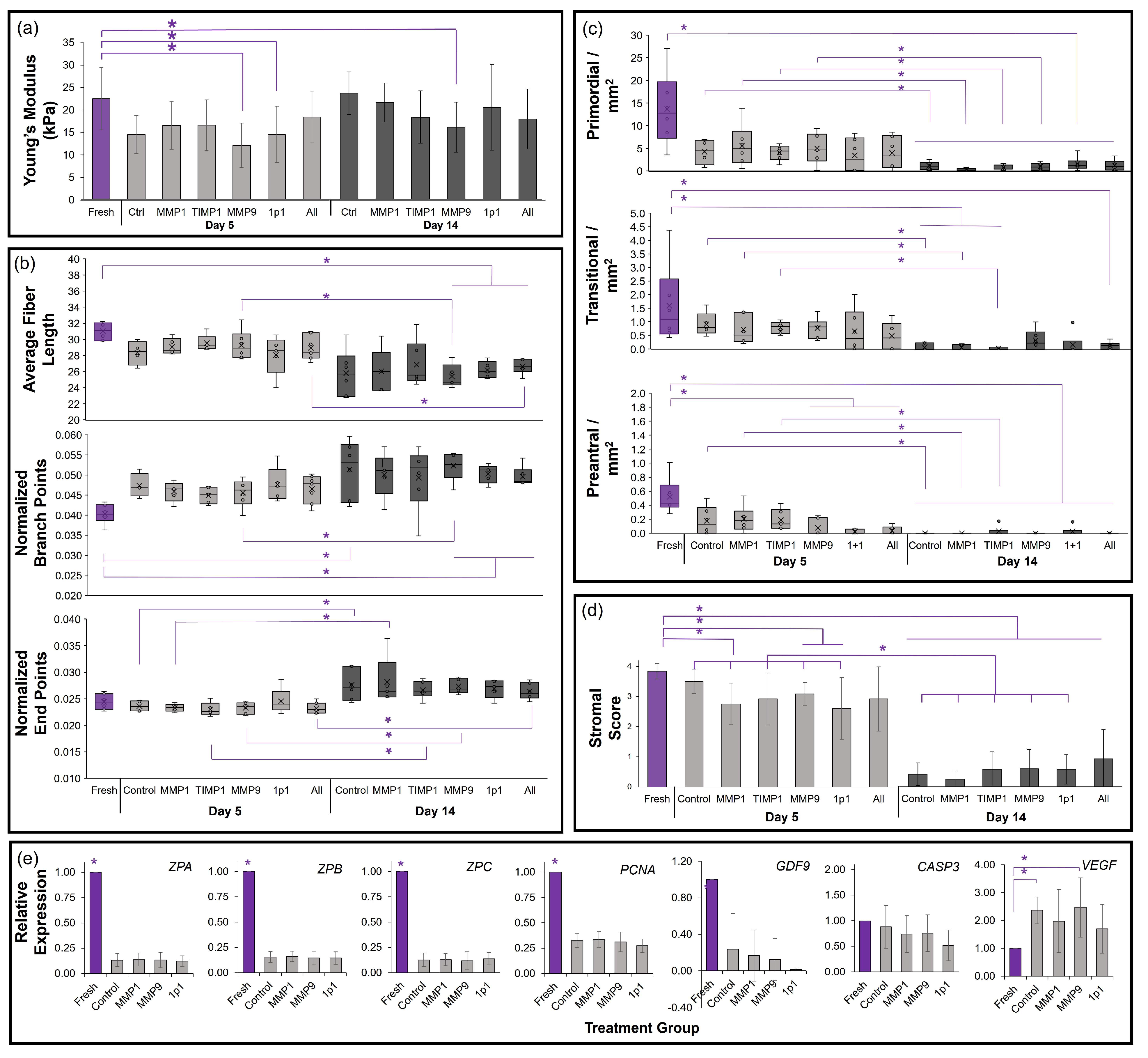 Bioengineering 10 01285 g004