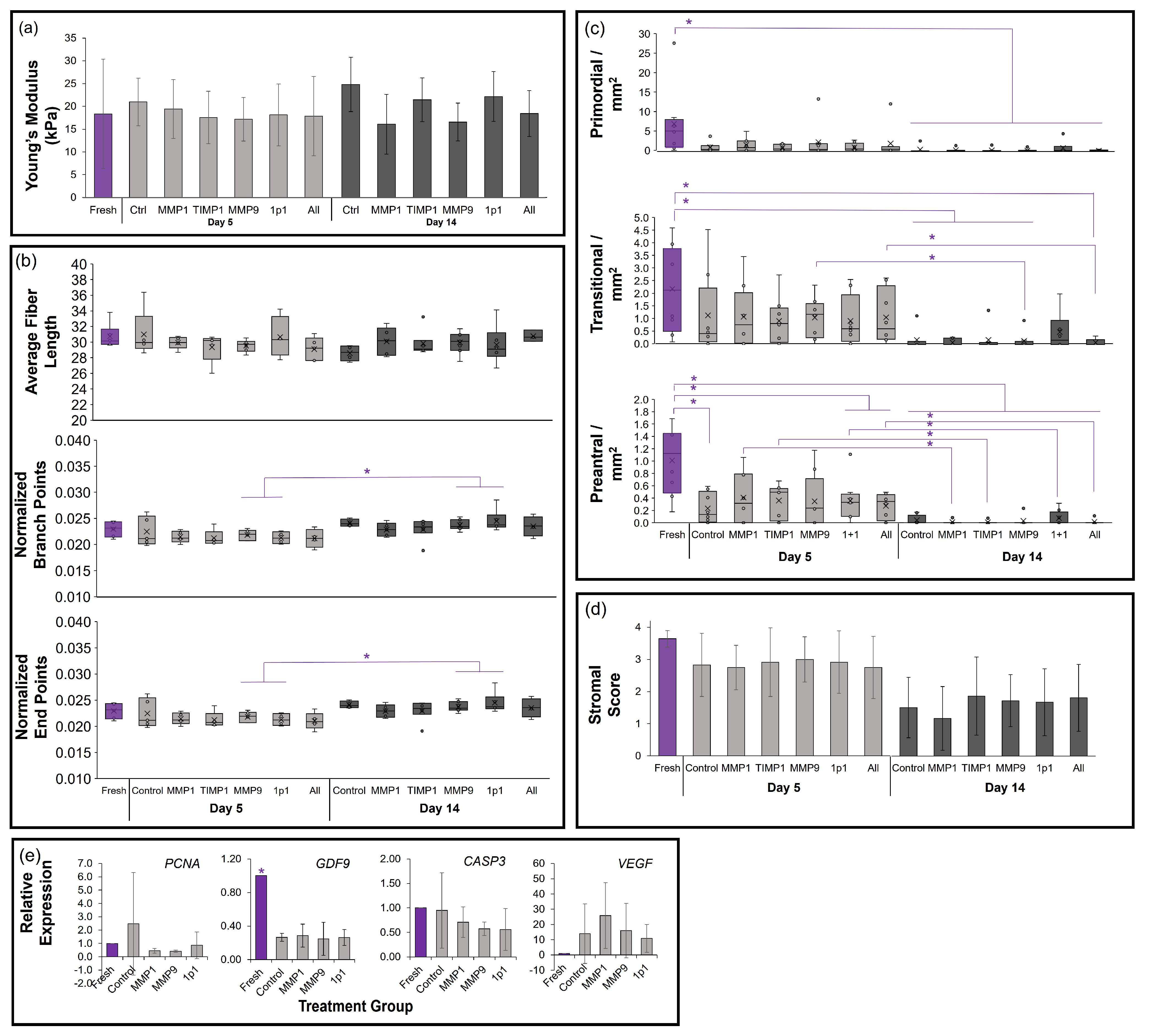 Bioengineering 10 01285 g005