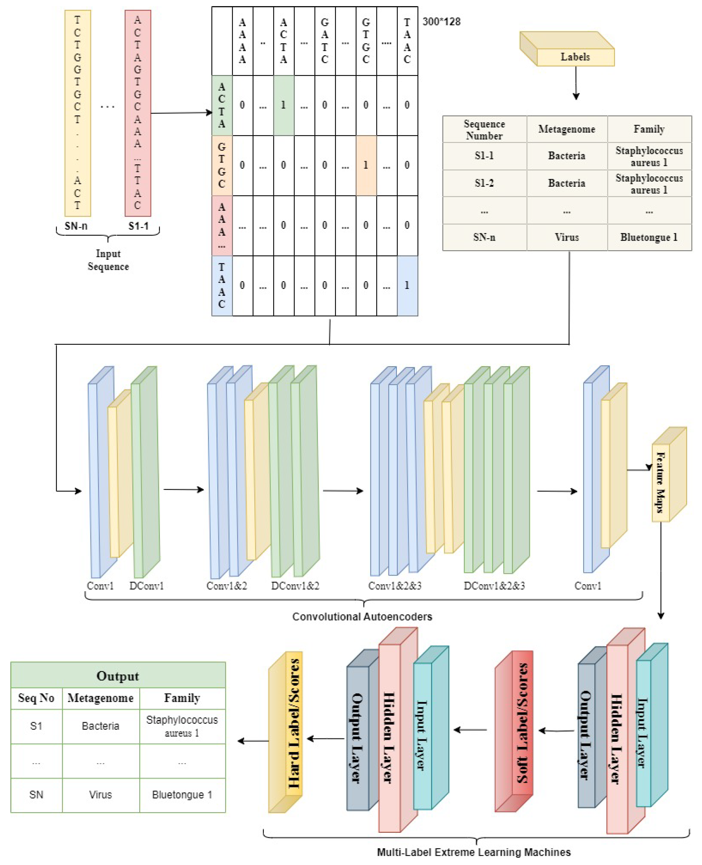 Bioengineering 10 01293 g003 Bioengineering 10 01293 g003