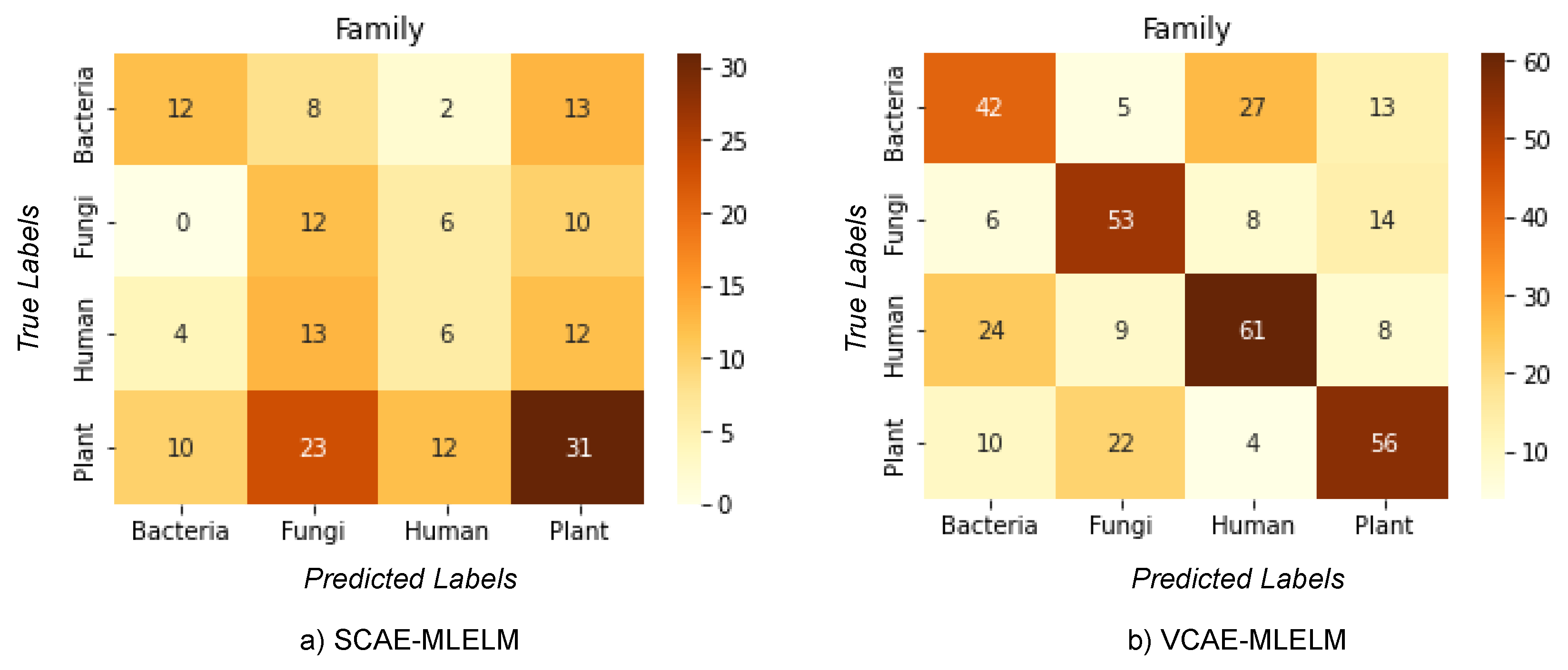 Bioengineering 10 01293 g004 Bioengineering 10 01293 g004