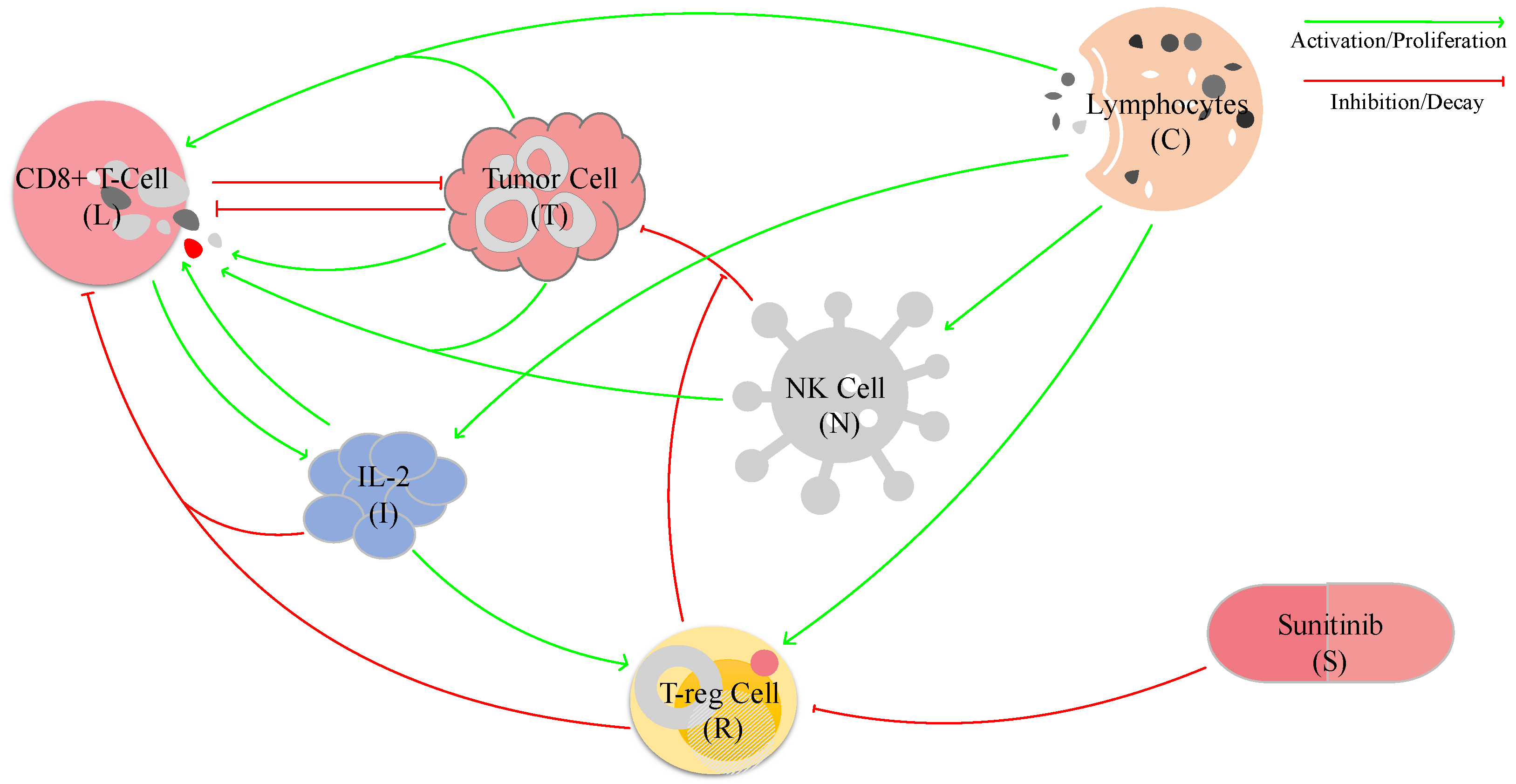 Bioengineering 10 01320 g003
