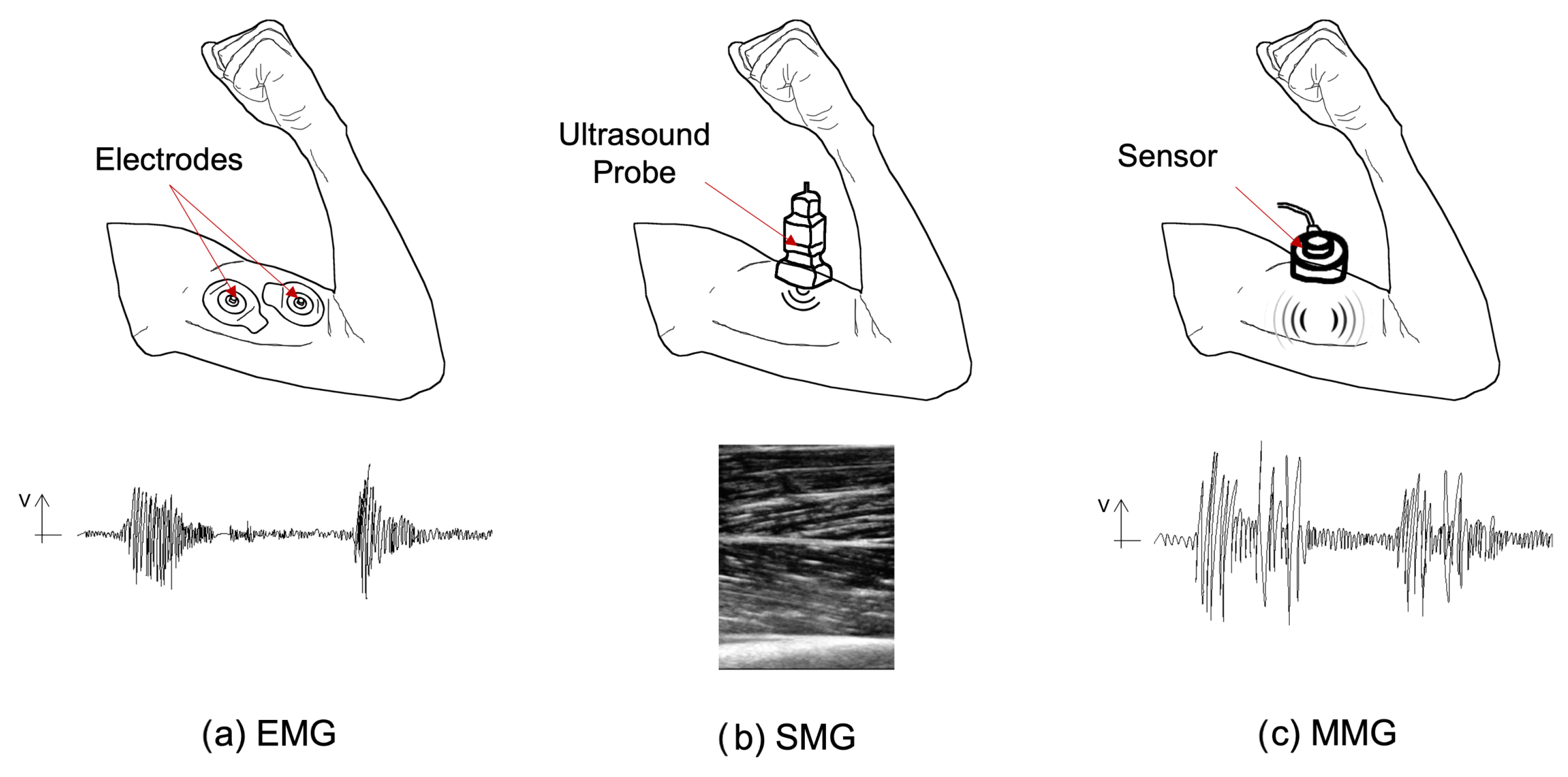 Bioengineering 10 01328 g008