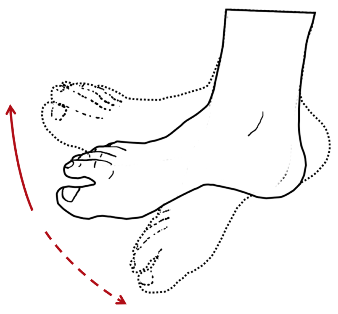 Bioengineering 10 01328 g009