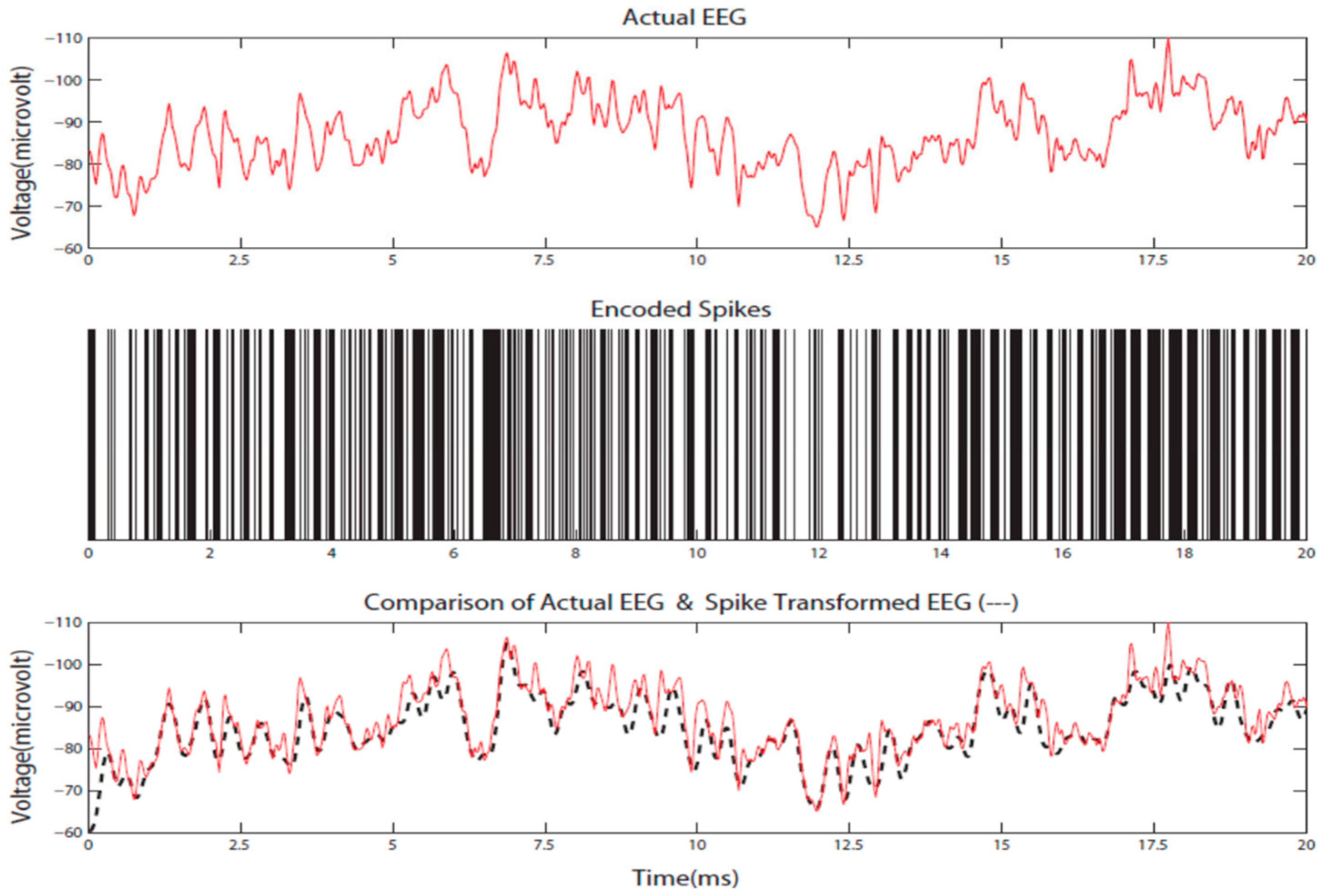Bioengineering 10 01341 g003