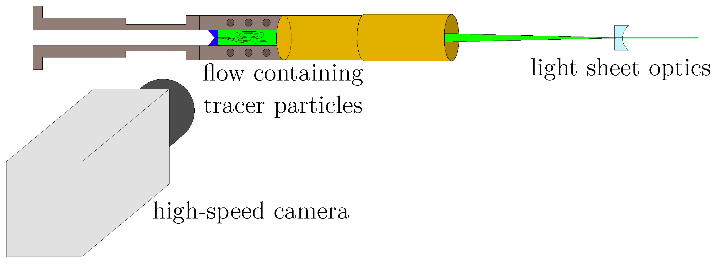 Bioengineering 10 01343 g003