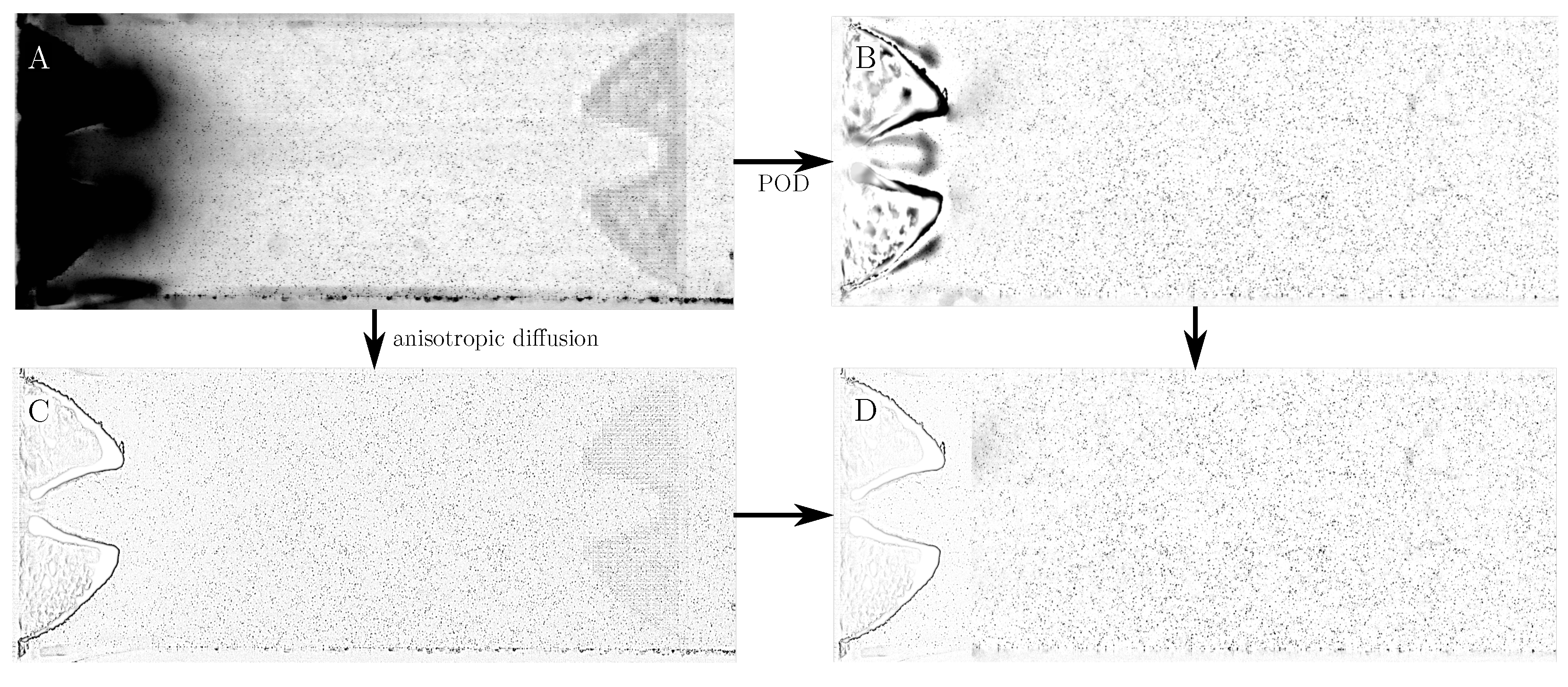 Bioengineering 10 01343 g004