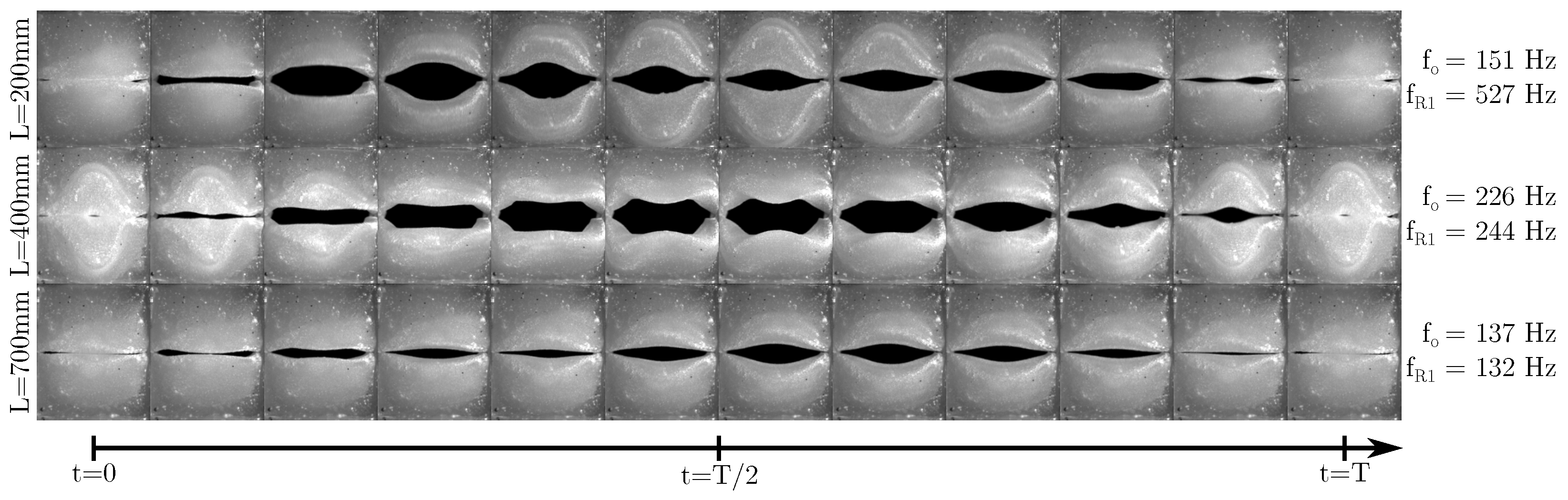 Bioengineering 10 01343 g006