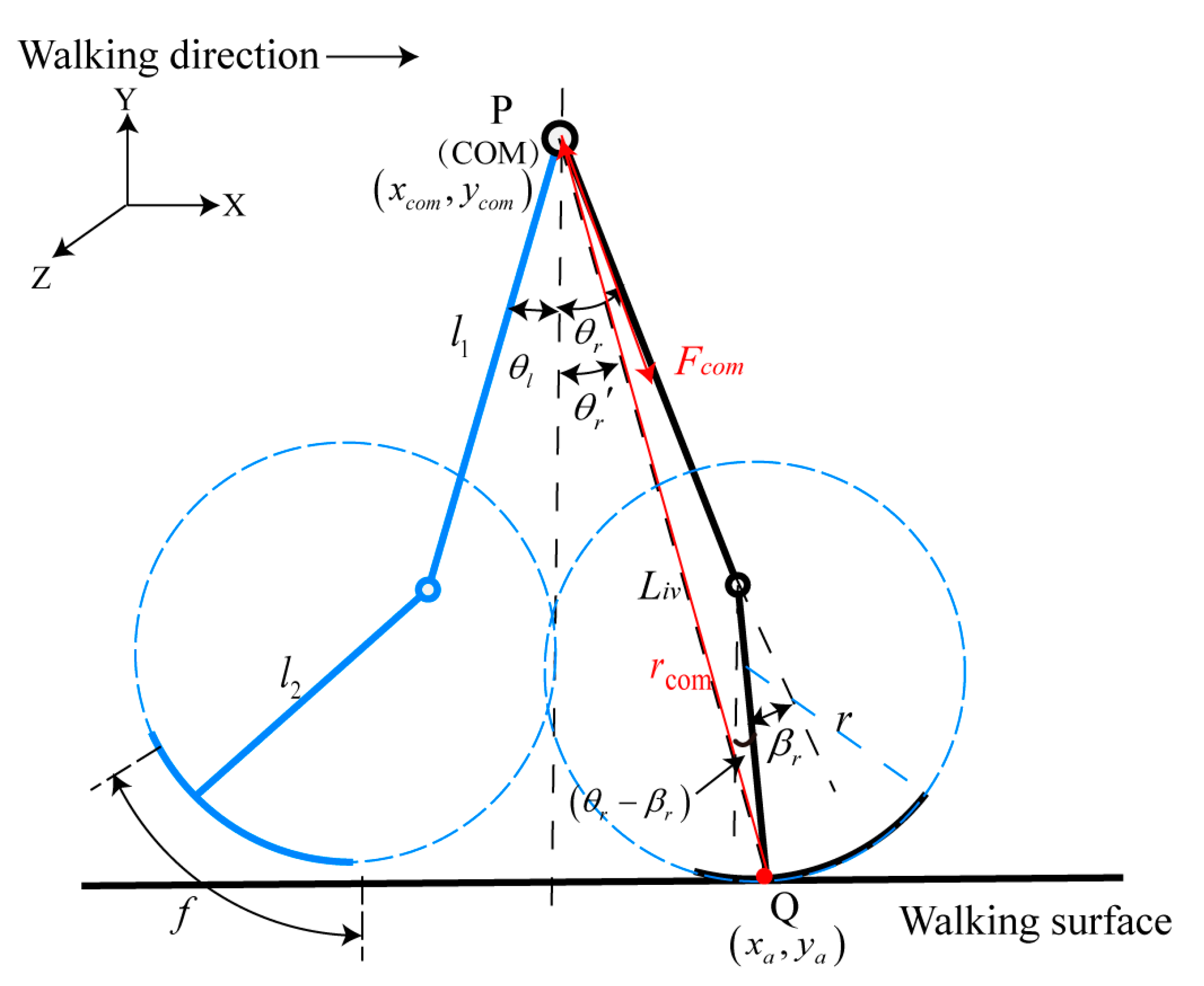 Bioengineering 10 01344 g002