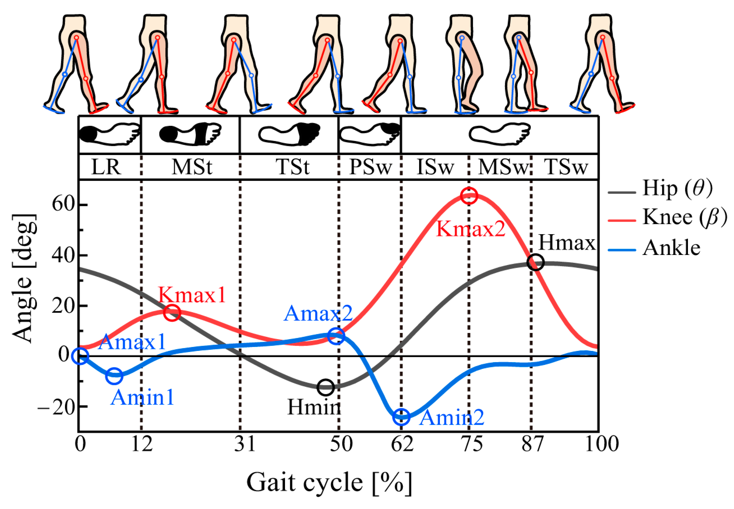 Bioengineering 10 01344 g003