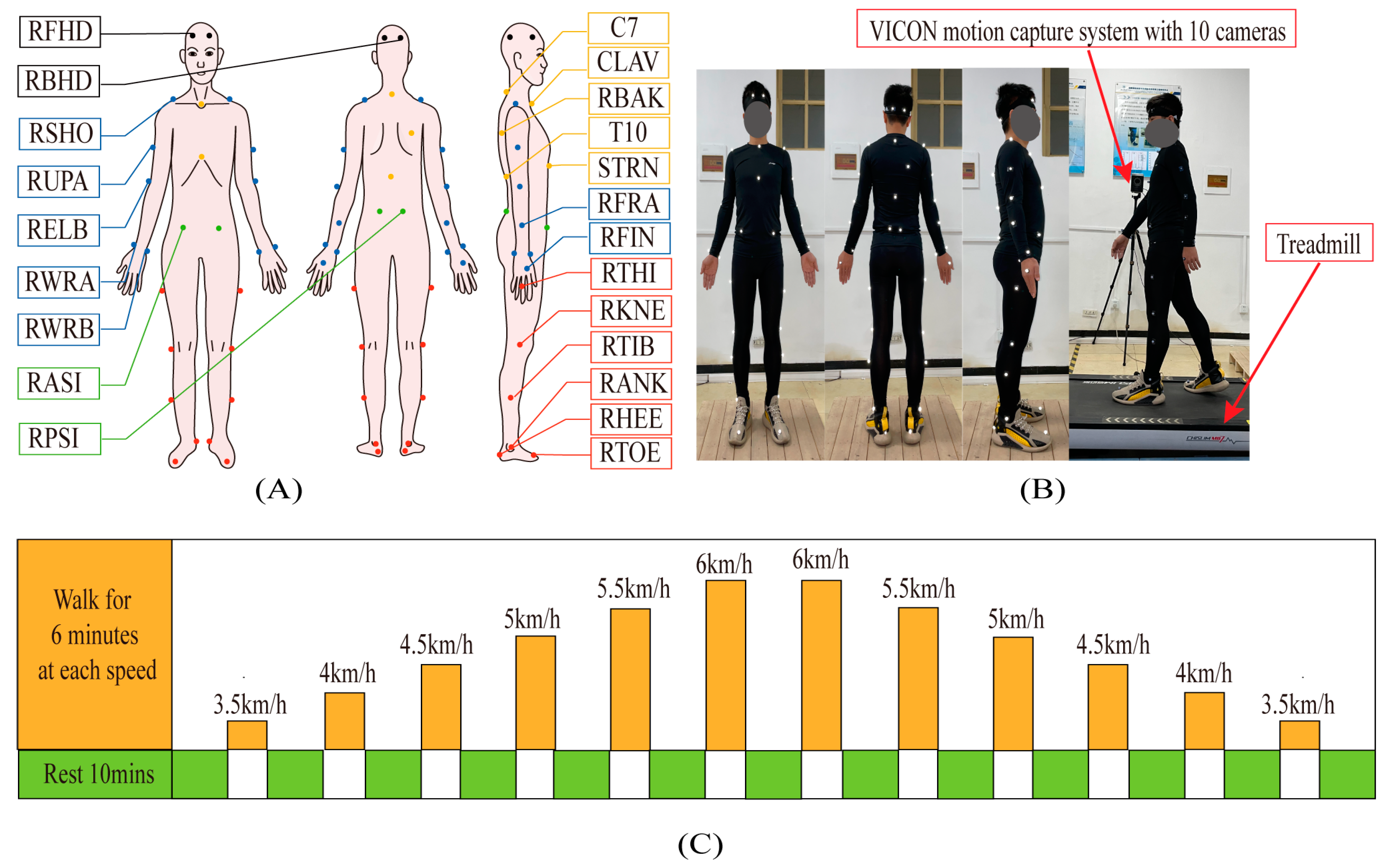 Bioengineering 10 01344 g005