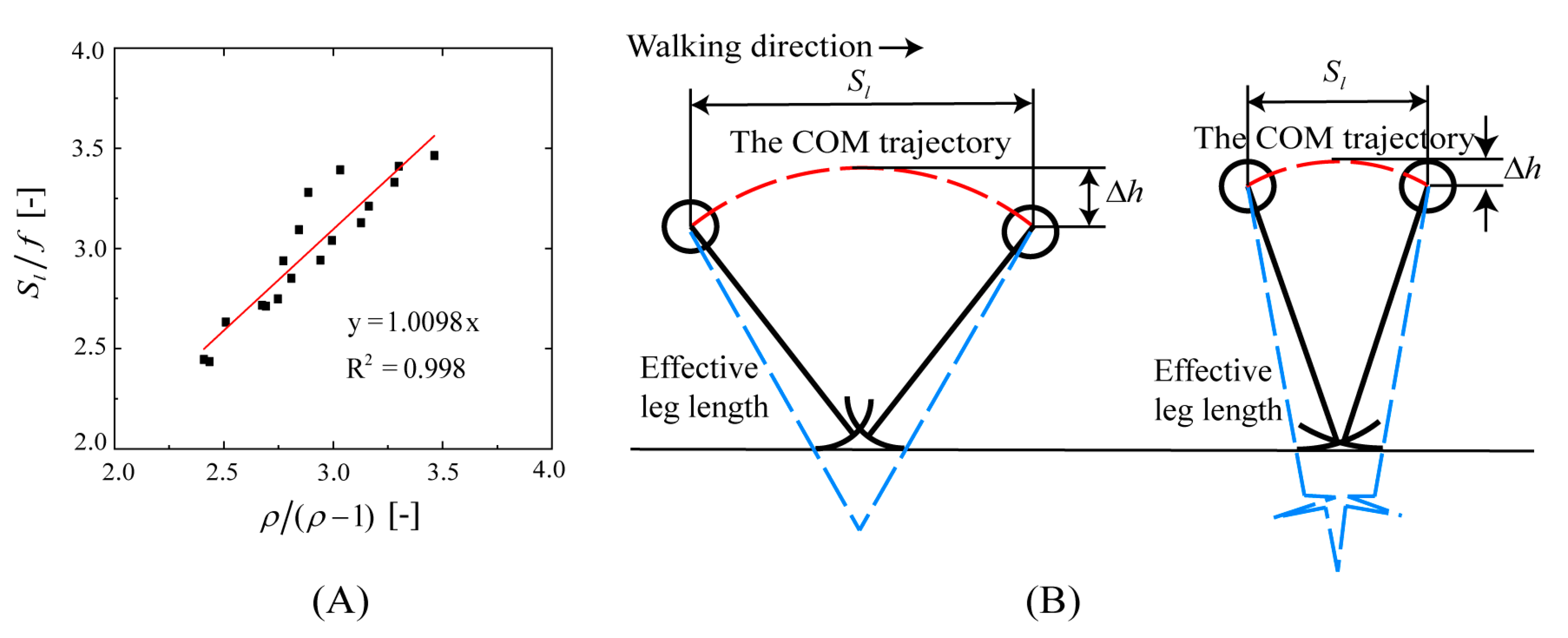 Bioengineering 10 01344 g010
