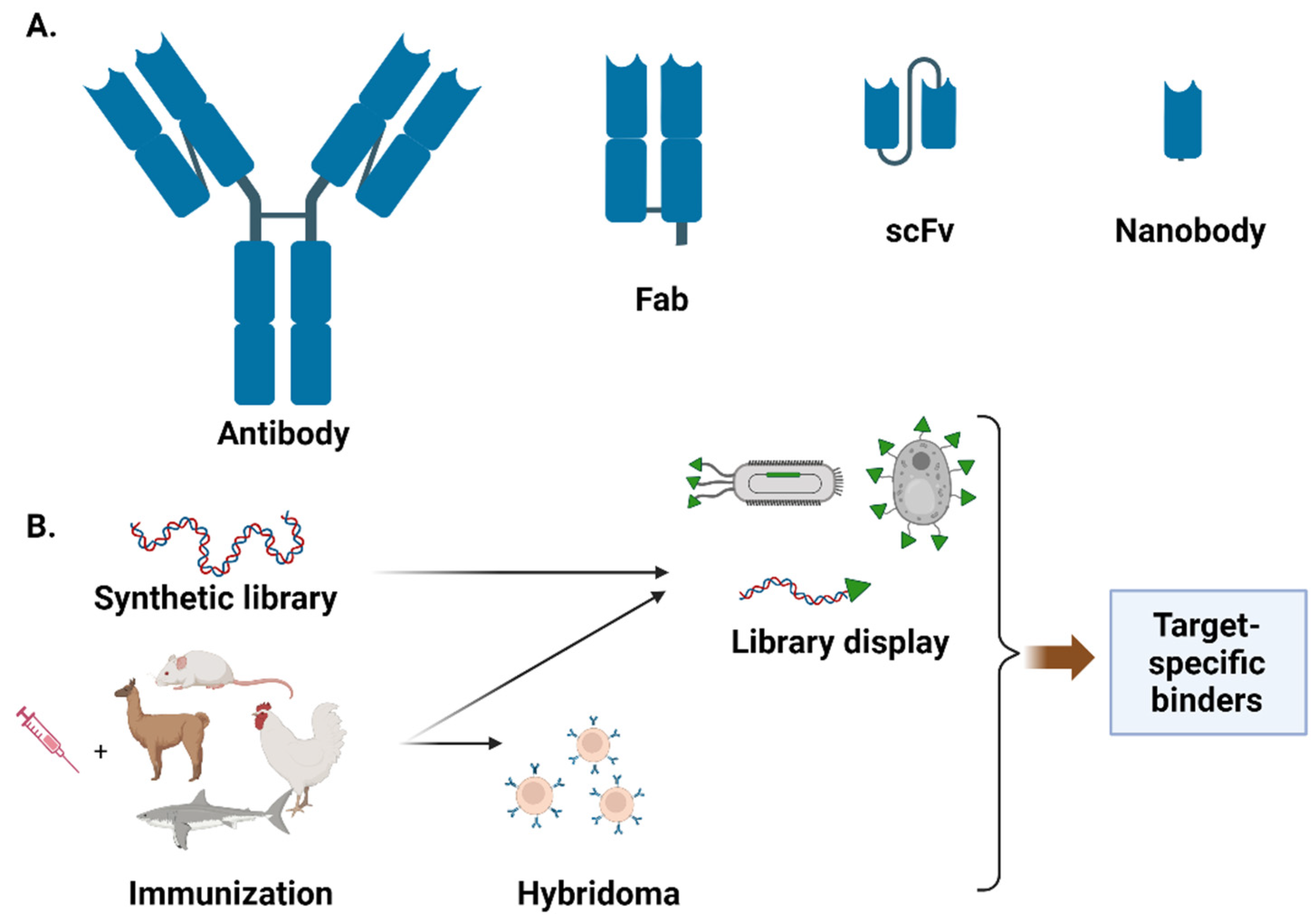 Bioengineering 10 01351 g001